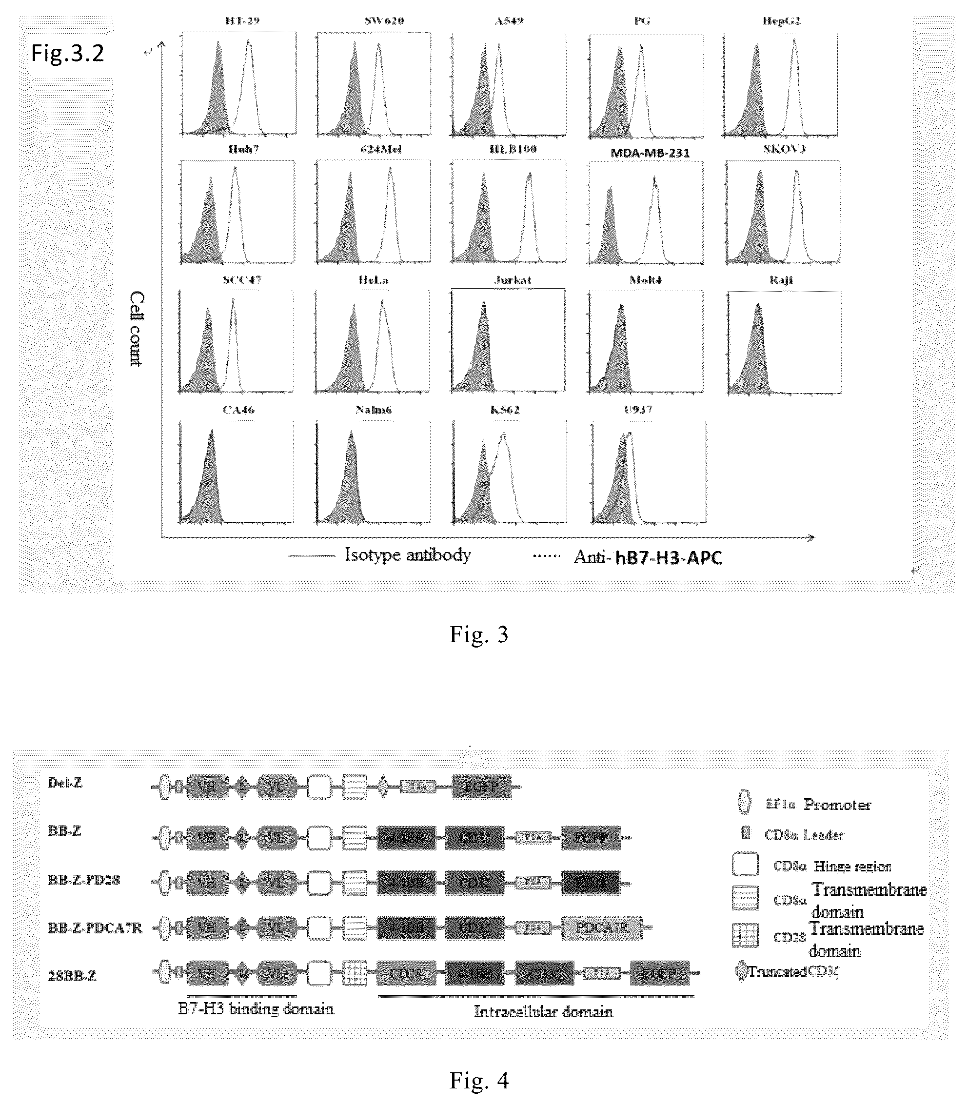 Patent US12103973 Figure 3 – Anti-B7-H3 monoclonal antibody and use thereof in cell therapy