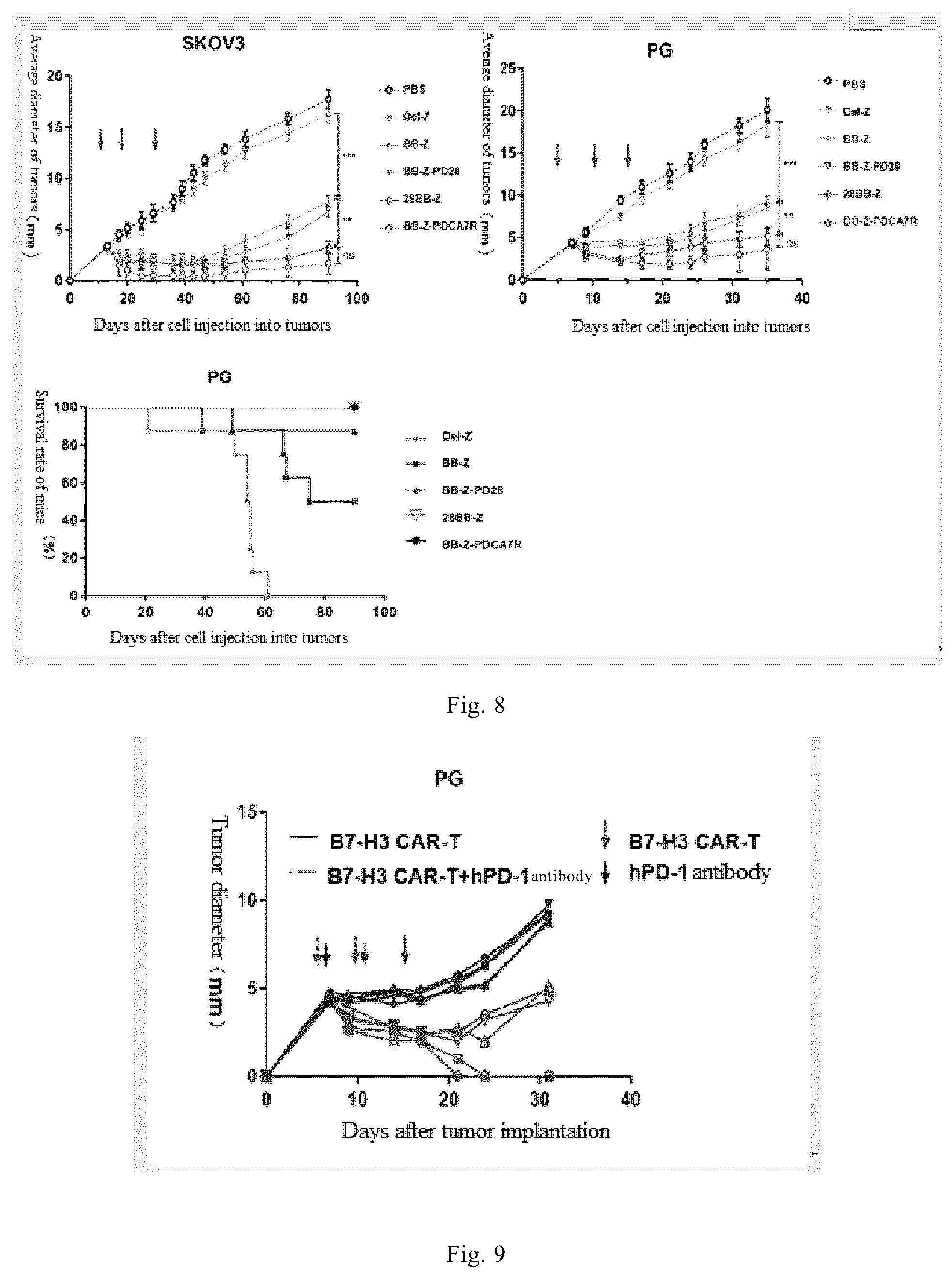 Patent US12103973 Figure 6 – Anti-B7-H3 monoclonal antibody and use thereof in cell therapy