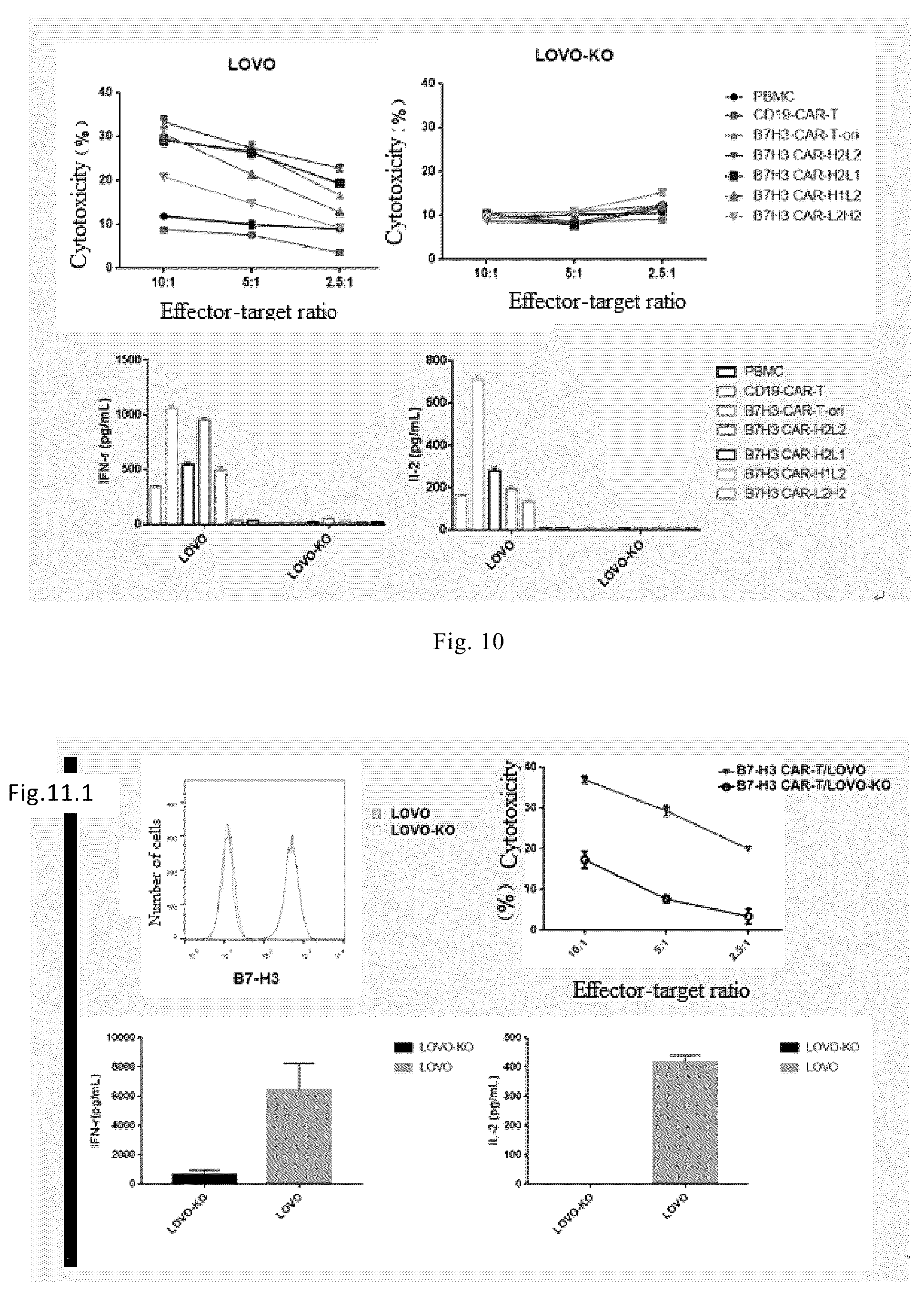 Patent US12103973 Figure 7 – Anti-B7-H3 monoclonal antibody and use thereof in cell therapy