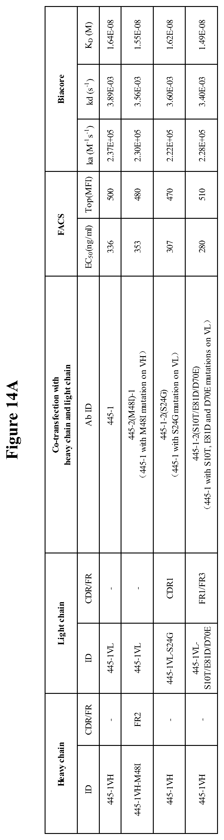 Patent US12103974 Figure 15 – Anti-OX40 antibodies and methods of use