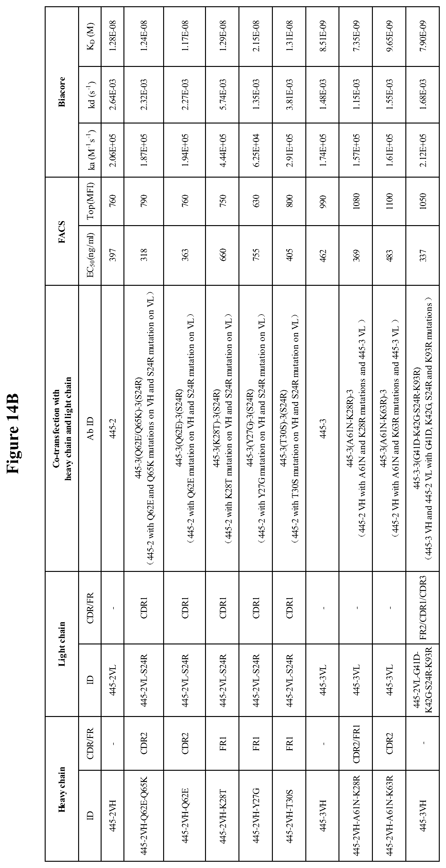 Patent US12103974 Figure 16 – Anti-OX40 antibodies and methods of use