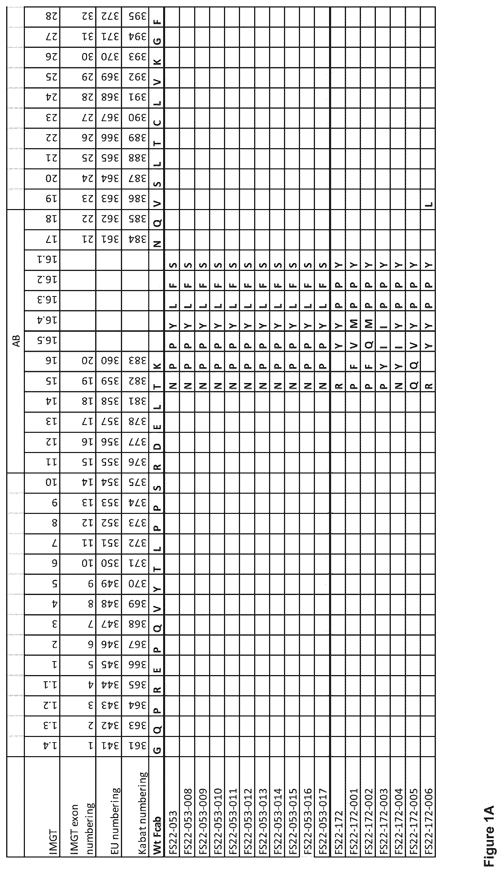 Patent US12103976 Figure 1 – Fc binding fragments comprising a CD137 antigen-binding site