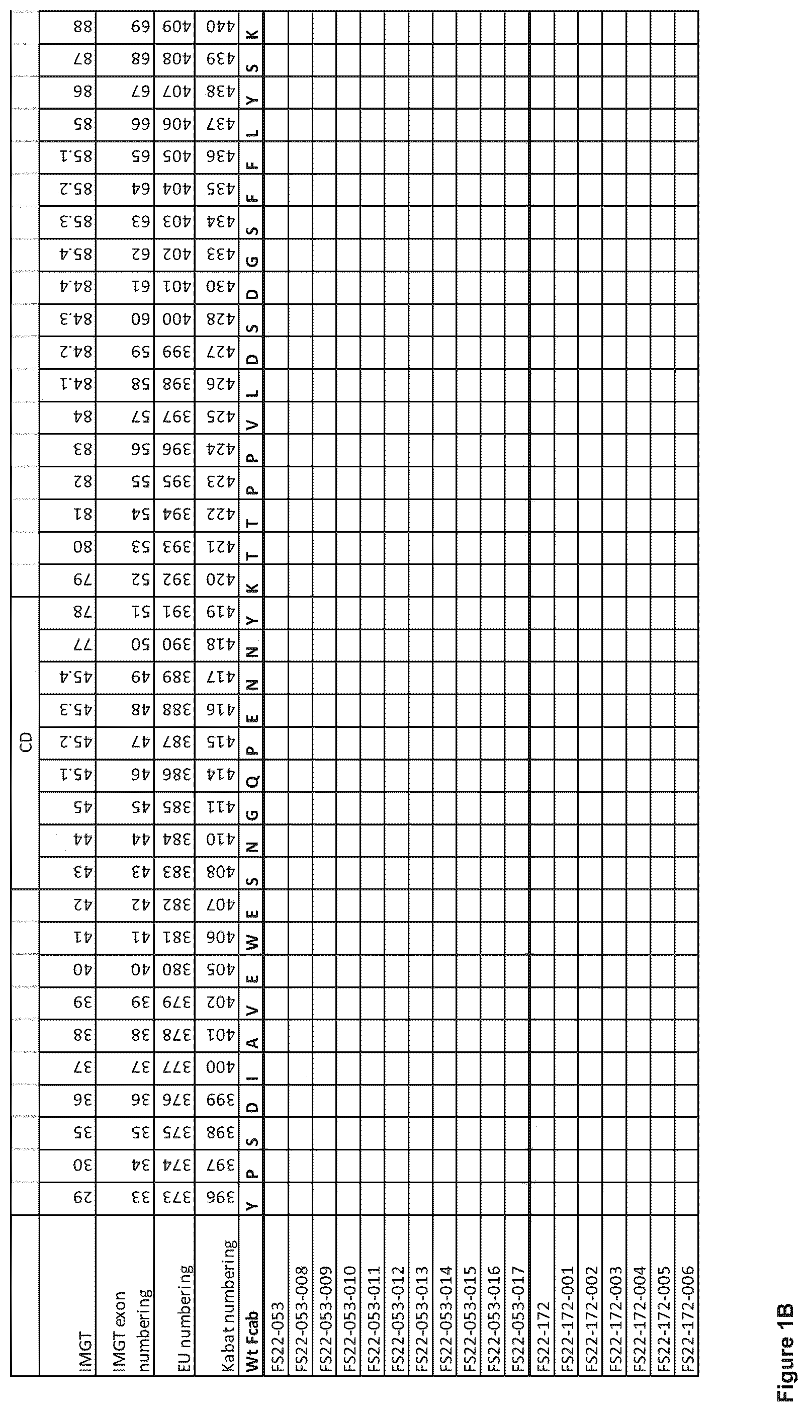 Patent US12103976 Figure 2 – Fc binding fragments comprising a CD137 antigen-binding site