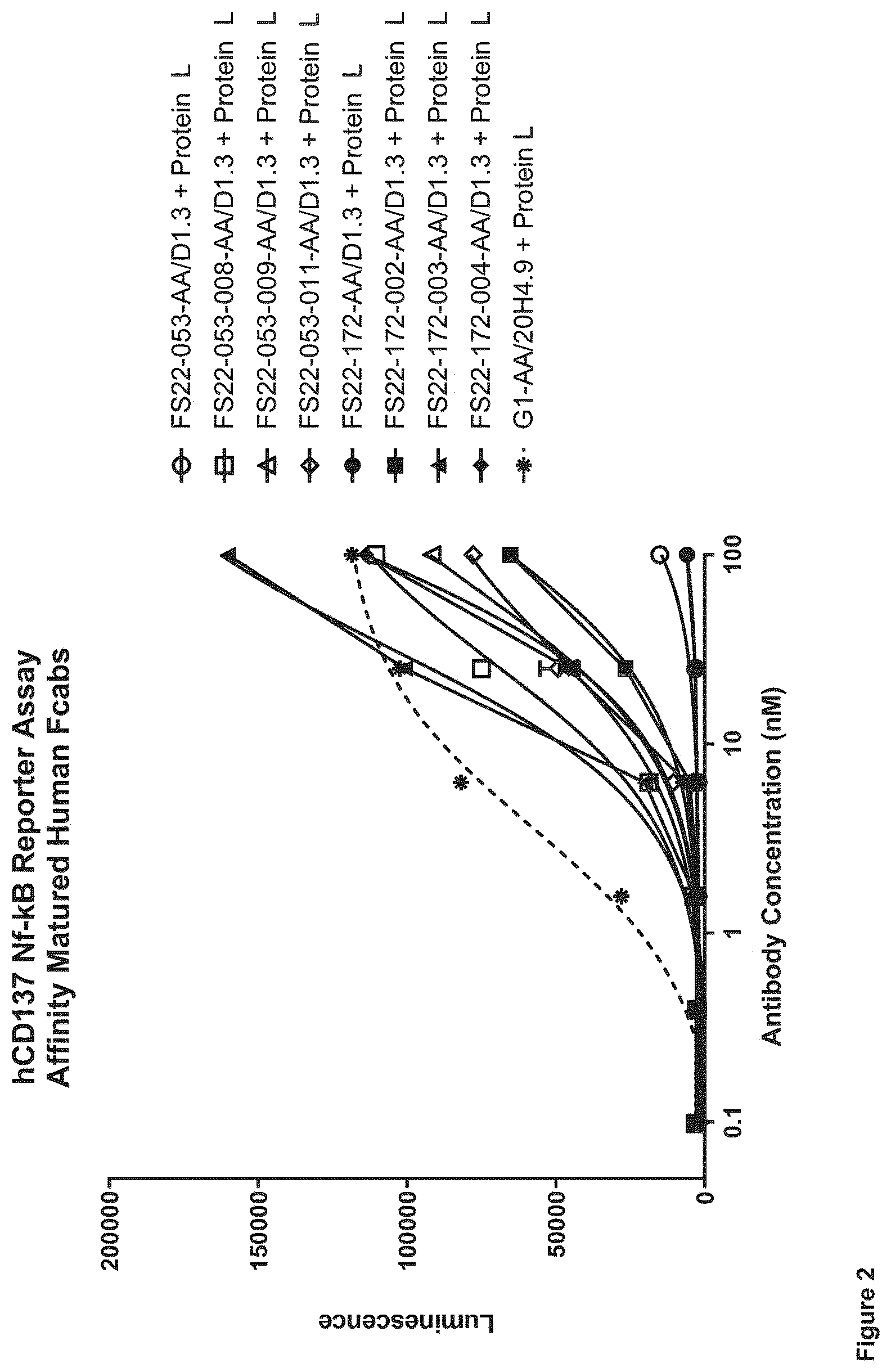 Patent US12103976 Figure 5 – Fc binding fragments comprising a CD137 antigen-binding site