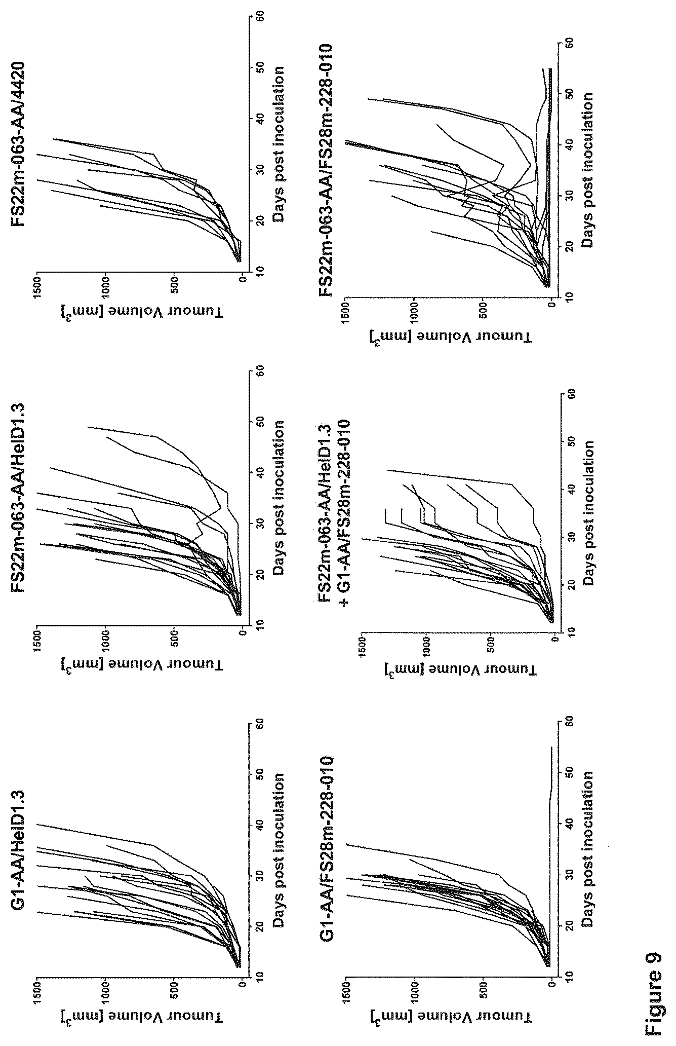 Patent US12103976 Figure 13 – Fc binding fragments comprising a CD137 antigen-binding site
