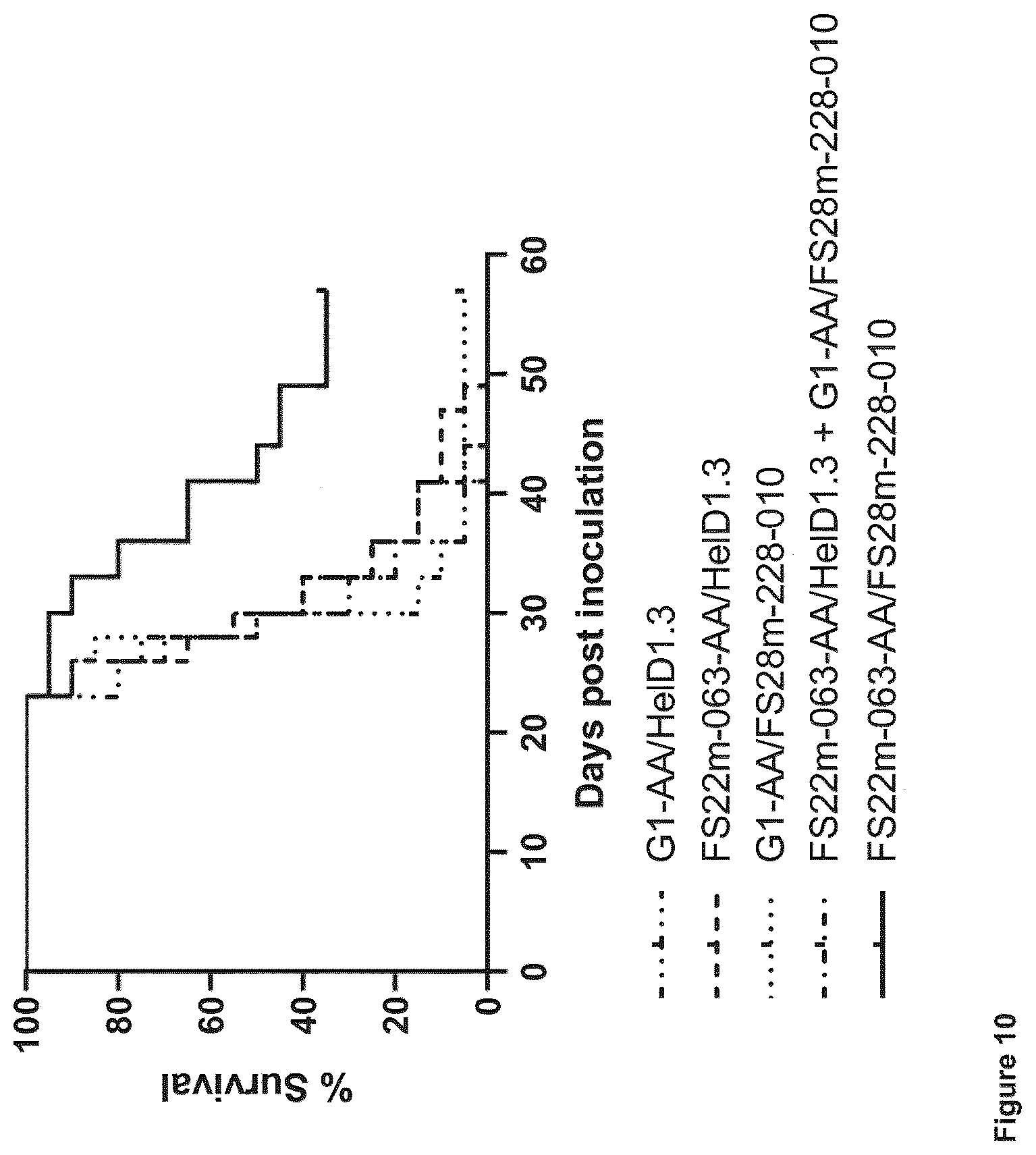 Patent US12103976 Figure 14 – Fc binding fragments comprising a CD137 antigen-binding site