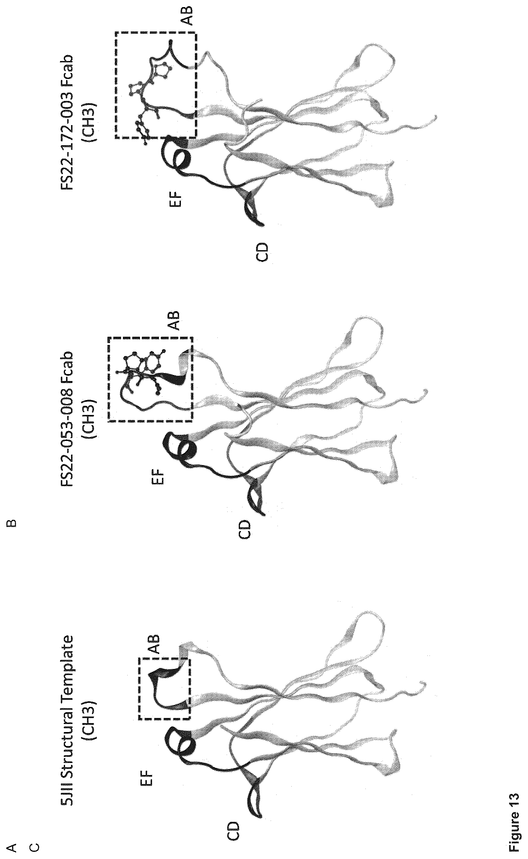Patent US12103976 Figure 17 – Fc binding fragments comprising a CD137 antigen-binding site