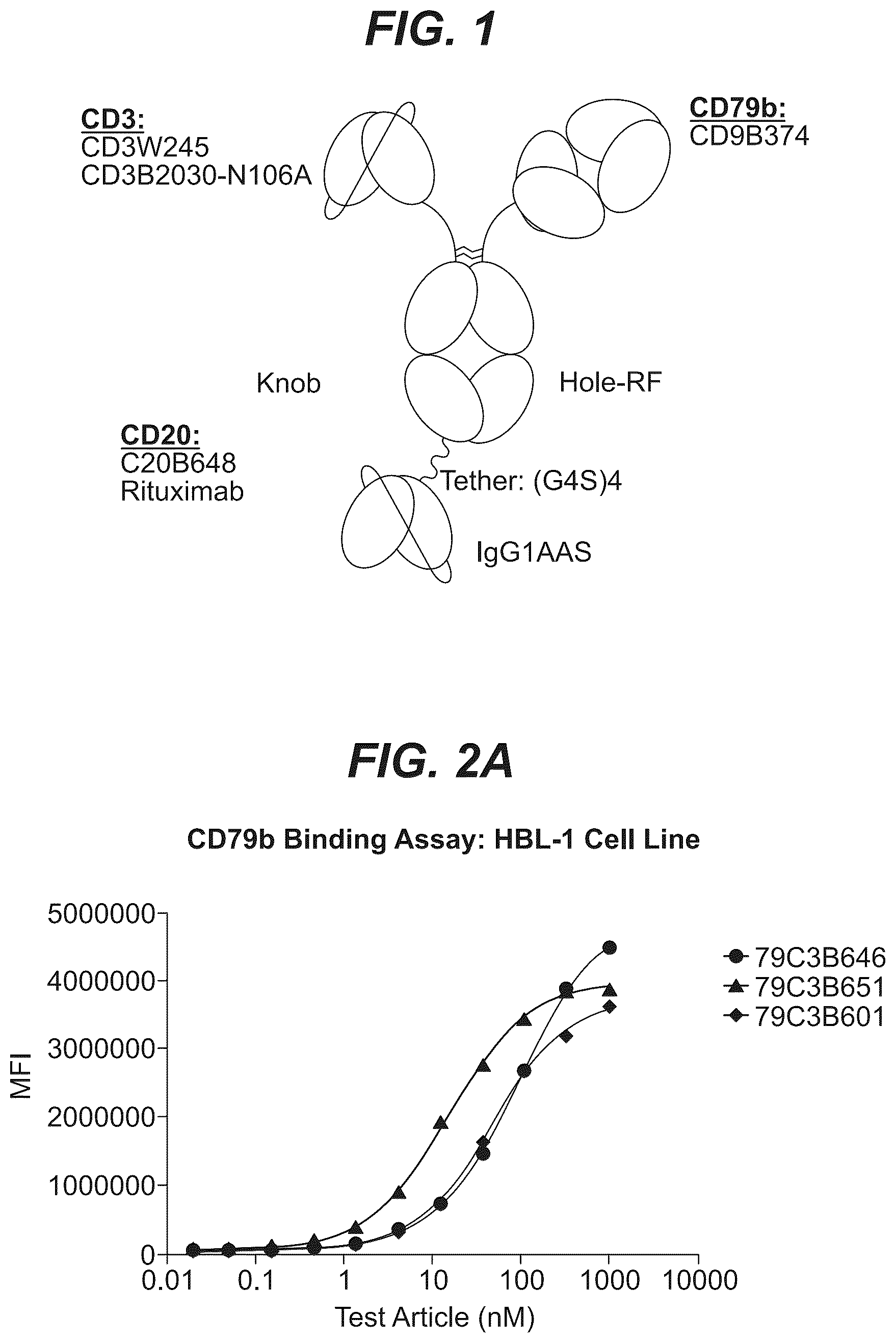 Patent US12103977 Figure 1 – Trispecific antibody targeting CD79b, CD20, and CD3