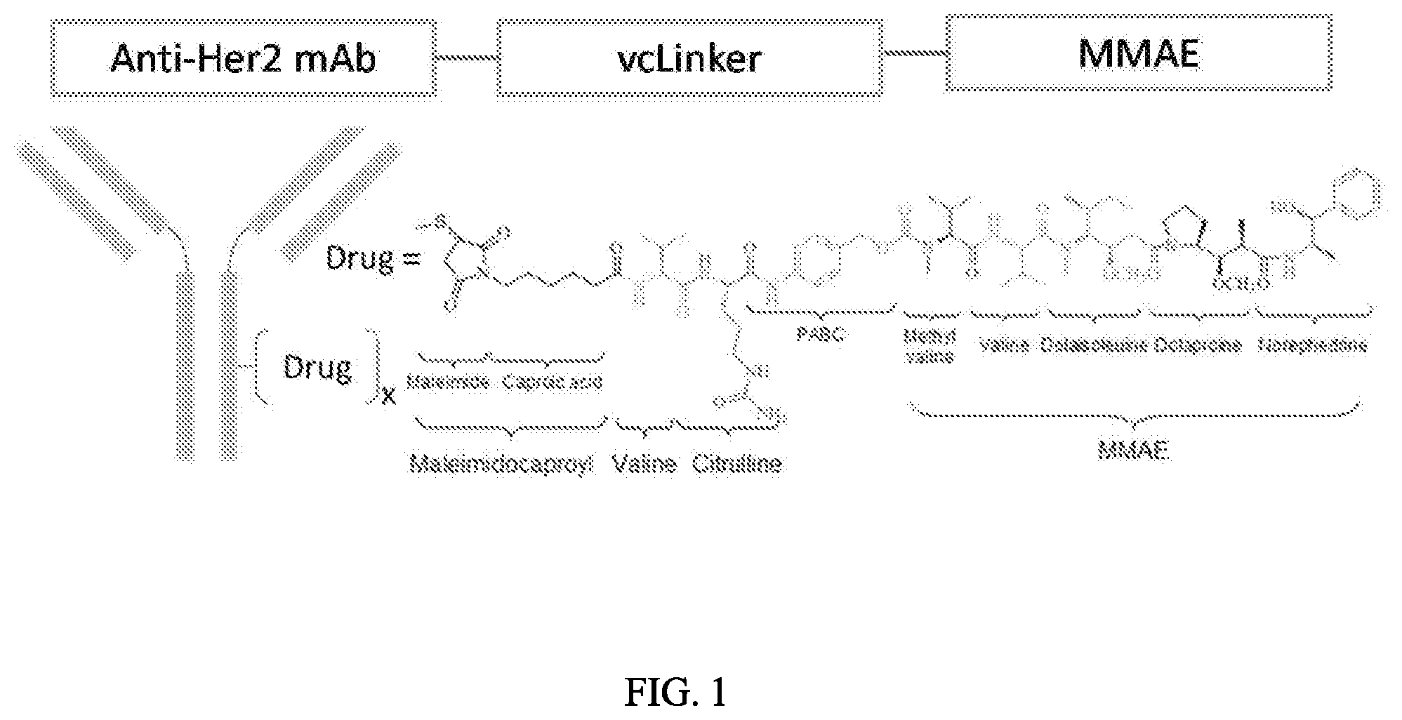 Patent US12103978 Figure 1 – Methods and materials for treating cancer