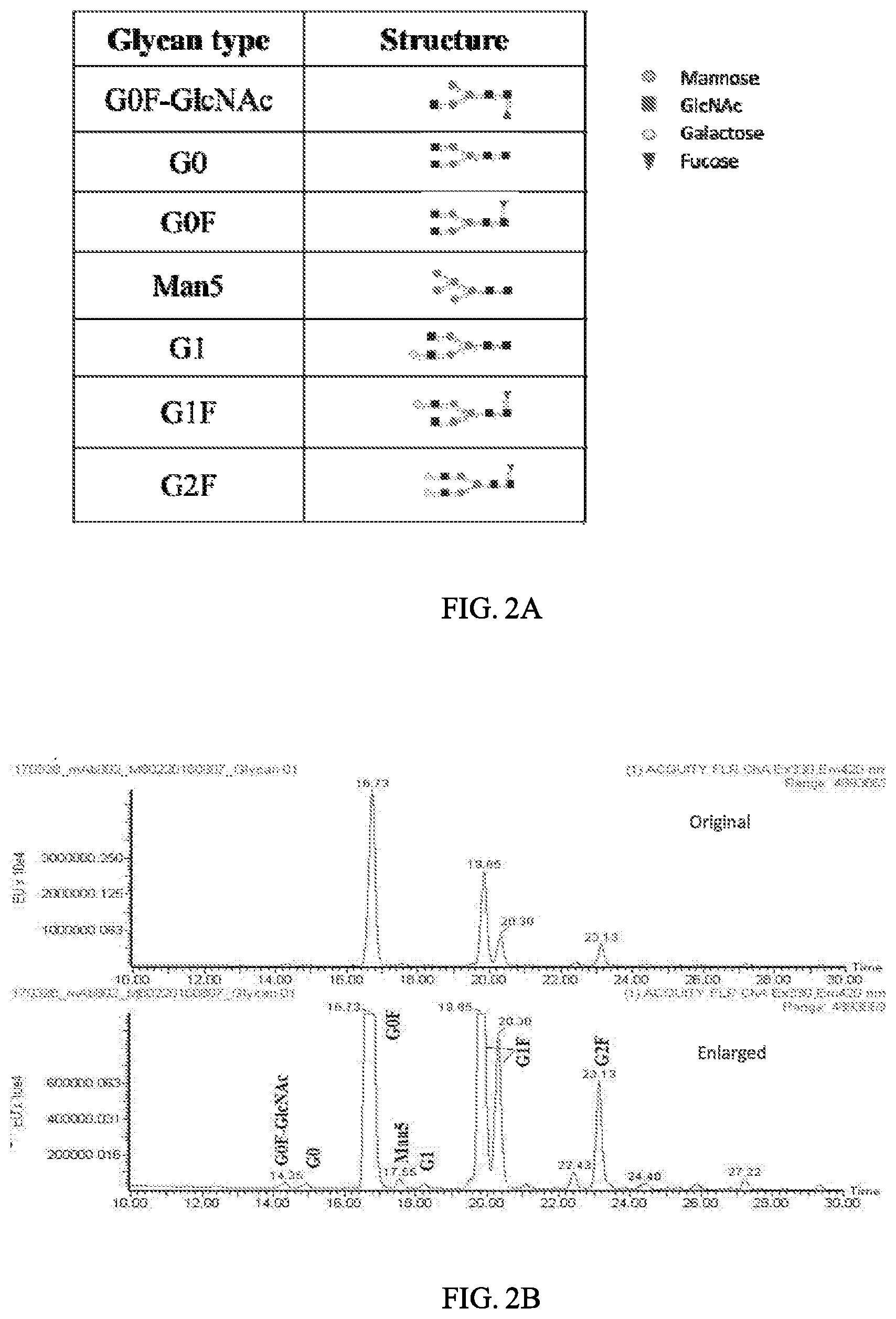 Patent US12103978 Figure 2 – Methods and materials for treating cancer