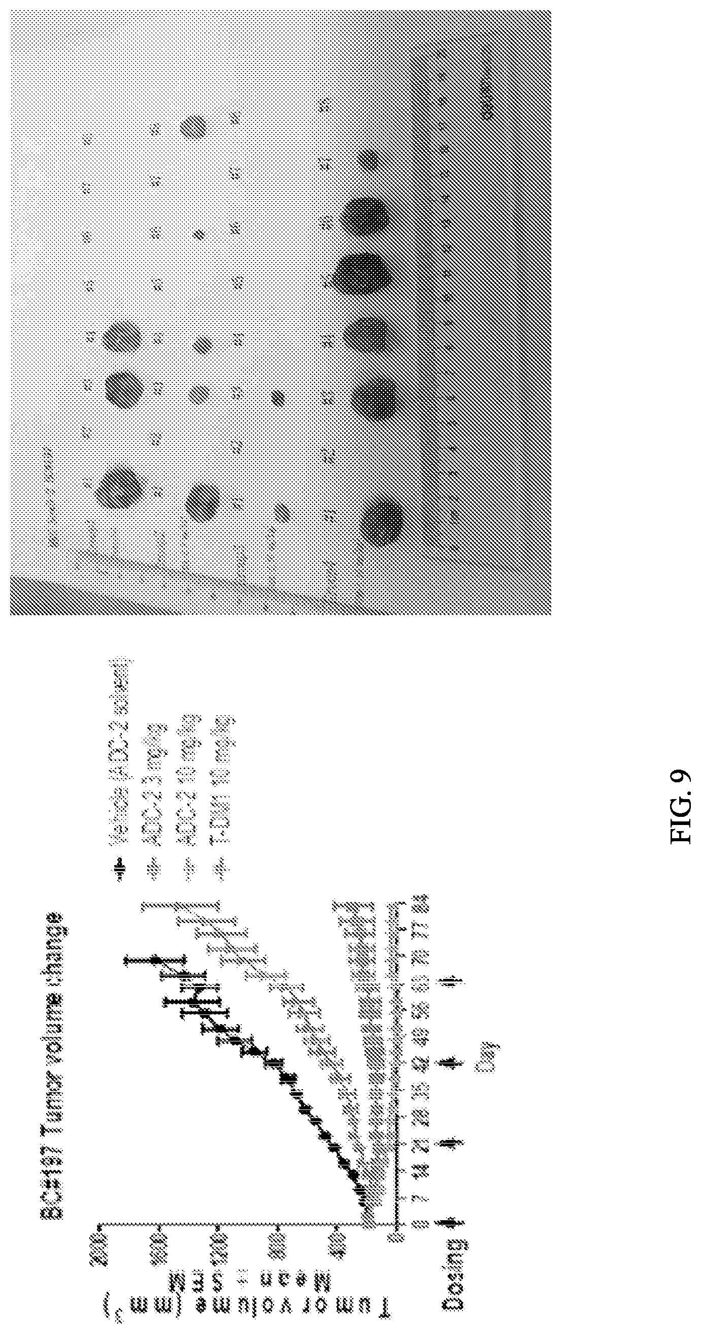 Patent US12103978 Figure 9 – Methods and materials for treating cancer