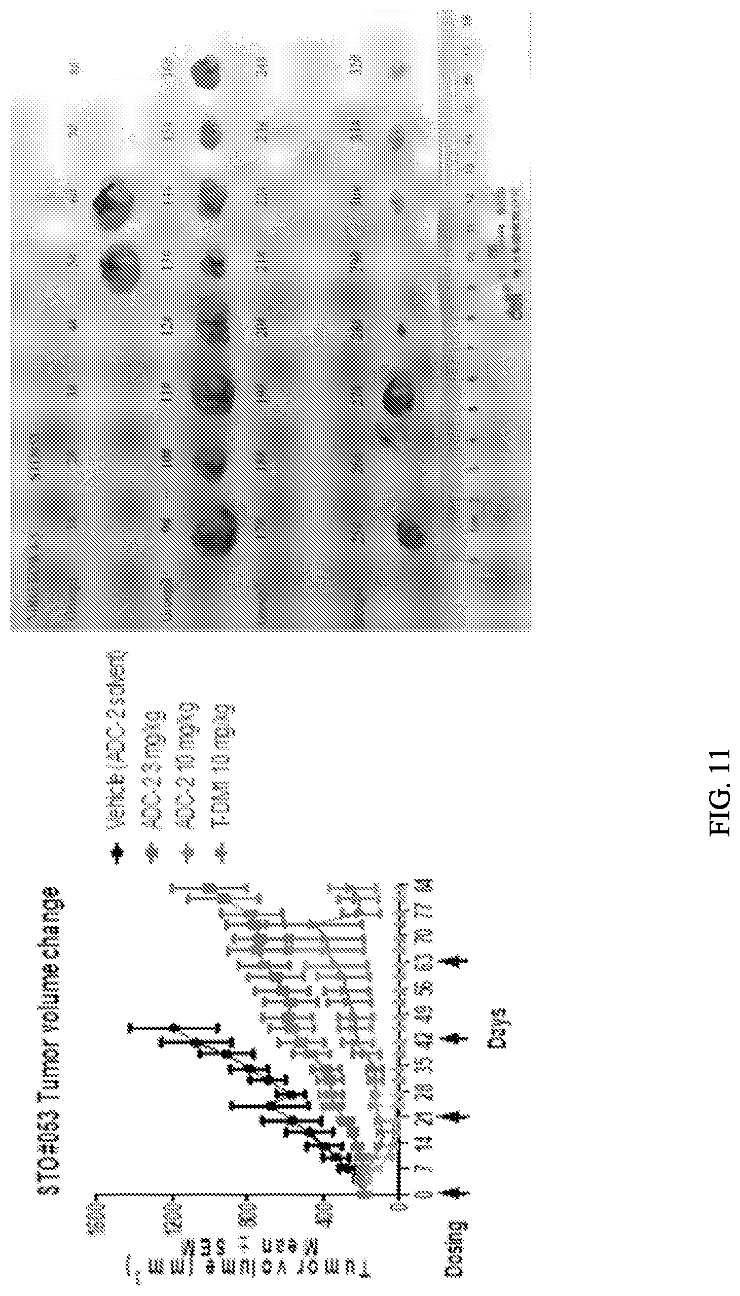 Patent US12103978 Figure 11 – Methods and materials for treating cancer