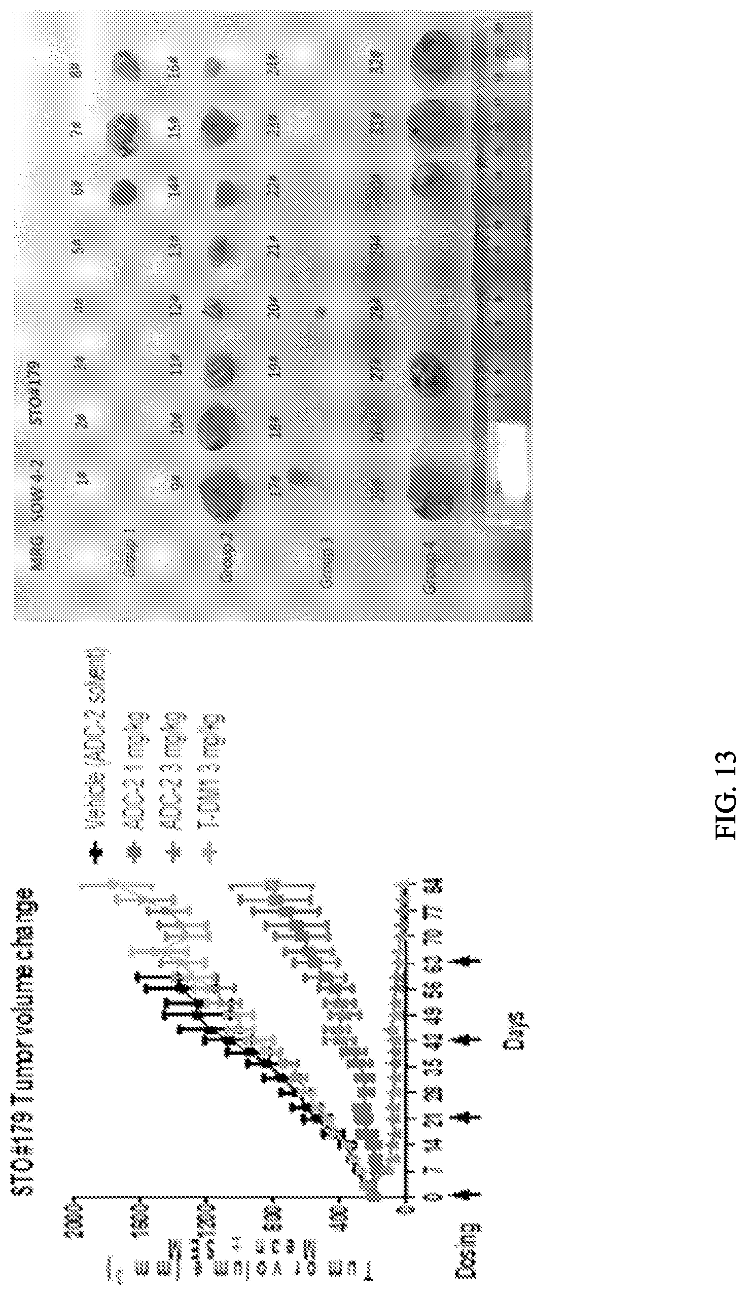 Patent US12103978 Figure 13 – Methods and materials for treating cancer