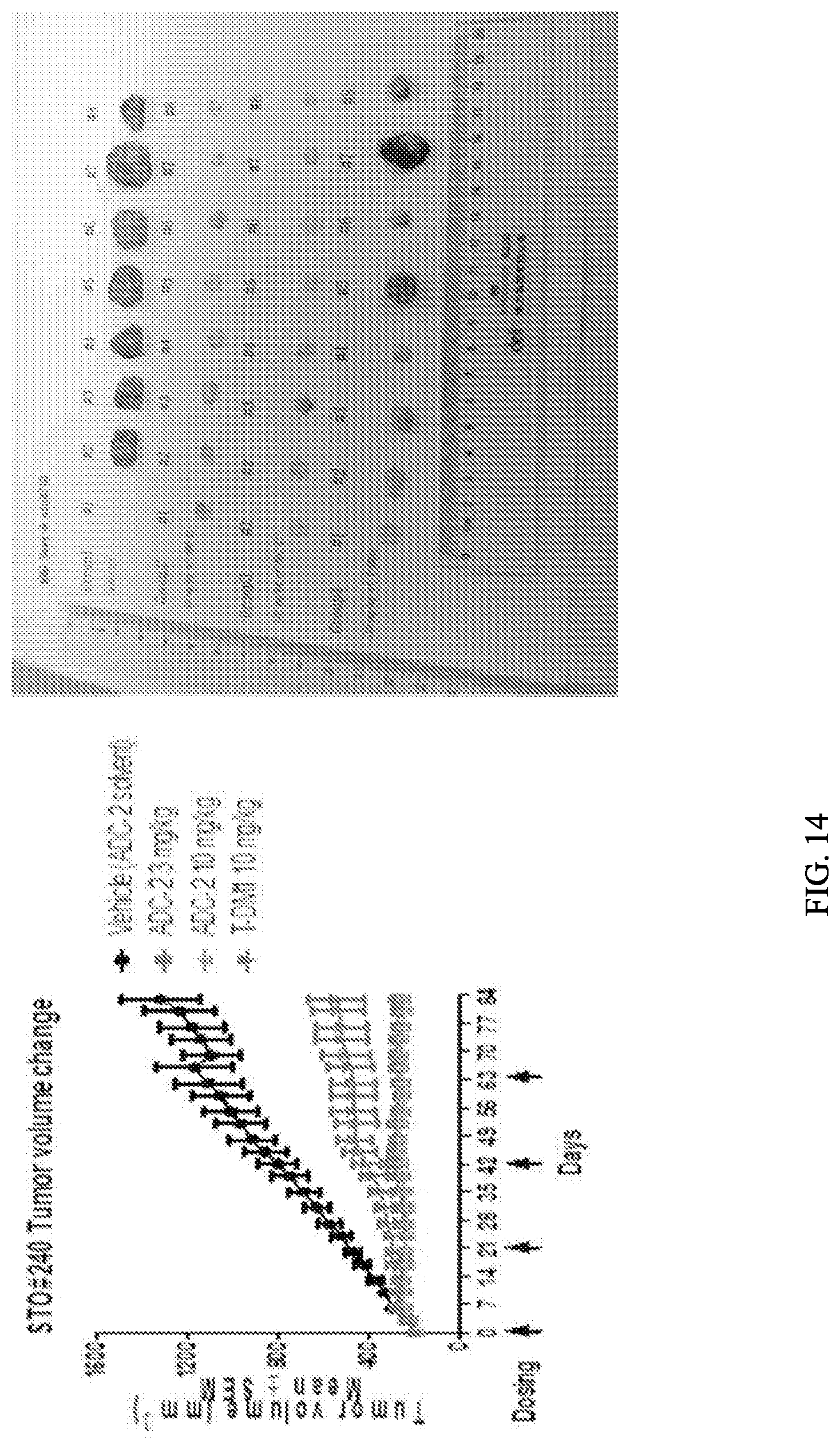 Patent US12103978 Figure 14 – Methods and materials for treating cancer
