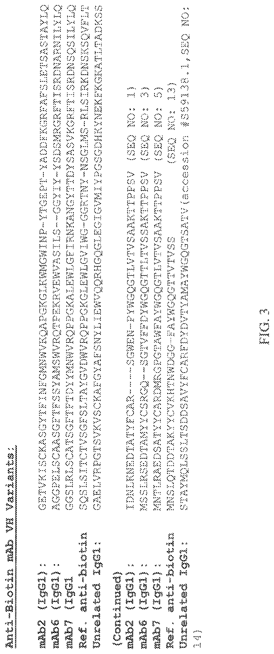 Patent US12103981 Figure 3 – Methods and compositions relating to anti-biotin antibodies