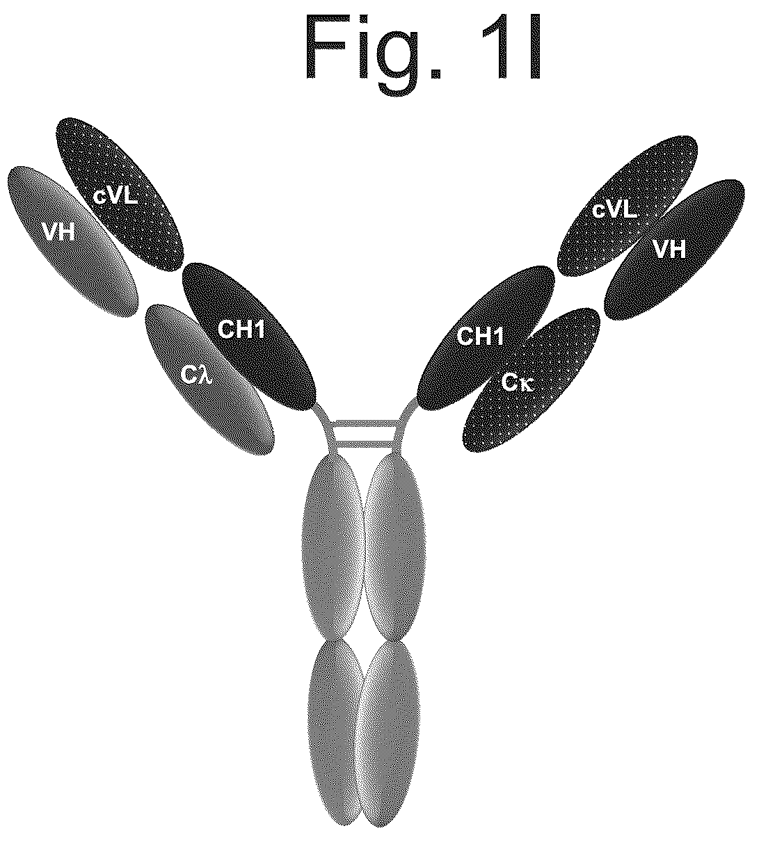 Patent US12103982 Figure 9 – T cell activating bispecific antigen binding molecules