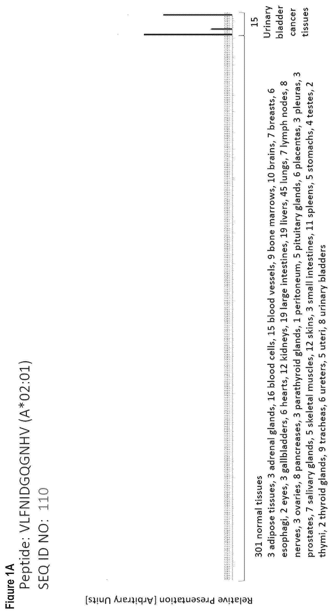 Patent US12103984 Figure 1 – Peptides, combination of peptides, and cell based medicaments for use in immunotherapy against urinary bladder cancer and other cancers