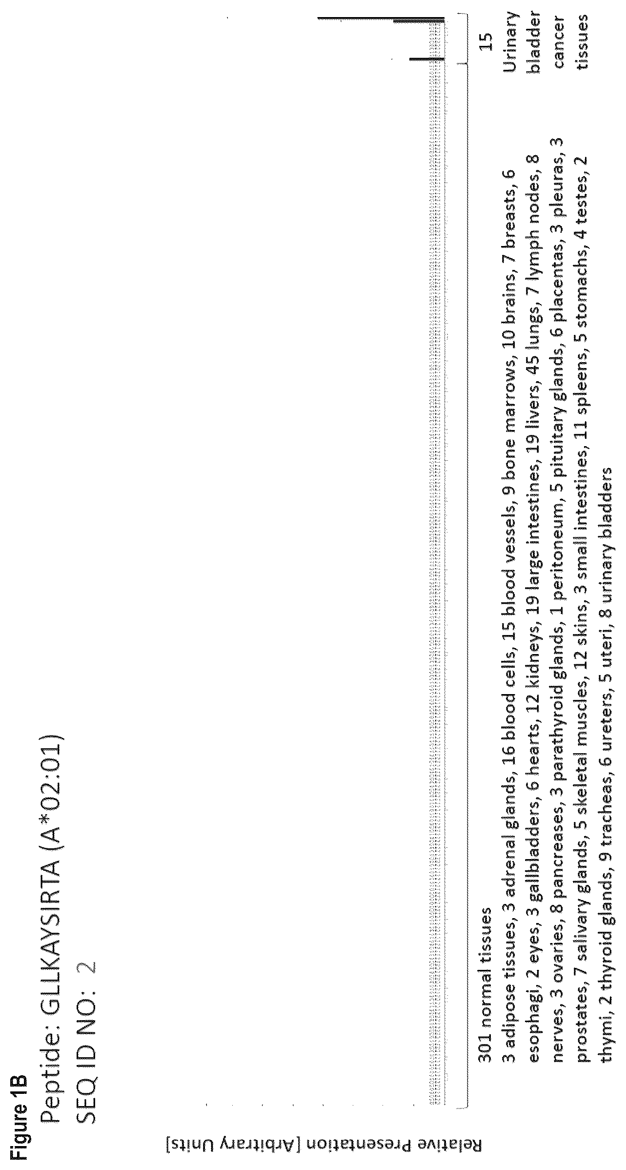 Patent US12103984 Figure 2 – Peptides, combination of peptides, and cell based medicaments for use in immunotherapy against urinary bladder cancer and other cancers