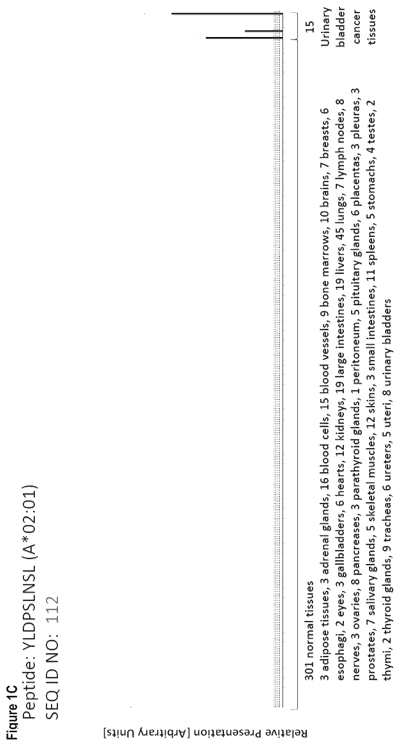 Patent US12103984 Figure 3 – Peptides, combination of peptides, and cell based medicaments for use in immunotherapy against urinary bladder cancer and other cancers