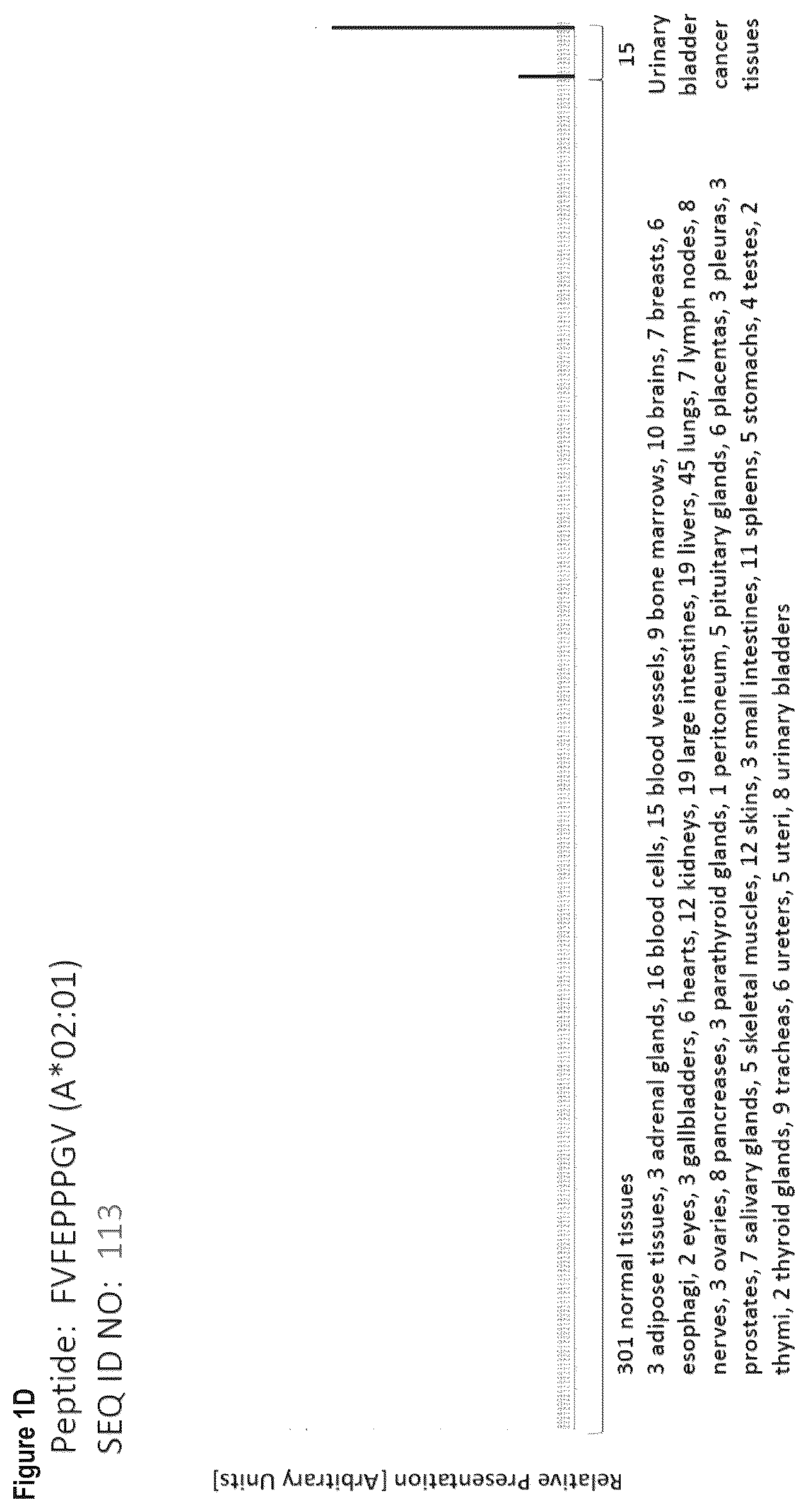 Patent US12103984 Figure 4 – Peptides, combination of peptides, and cell based medicaments for use in immunotherapy against urinary bladder cancer and other cancers