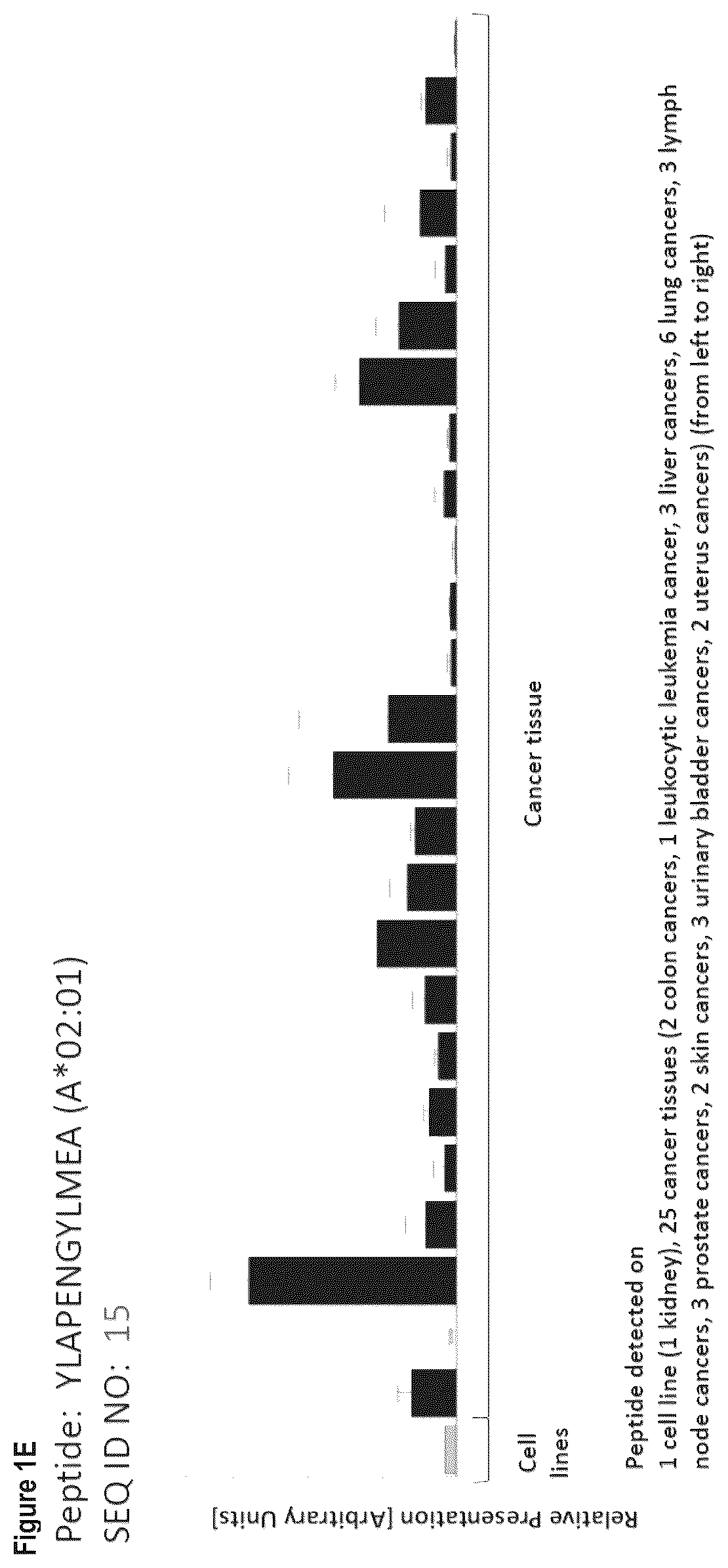 Patent US12103984 Figure 5 – Peptides, combination of peptides, and cell based medicaments for use in immunotherapy against urinary bladder cancer and other cancers