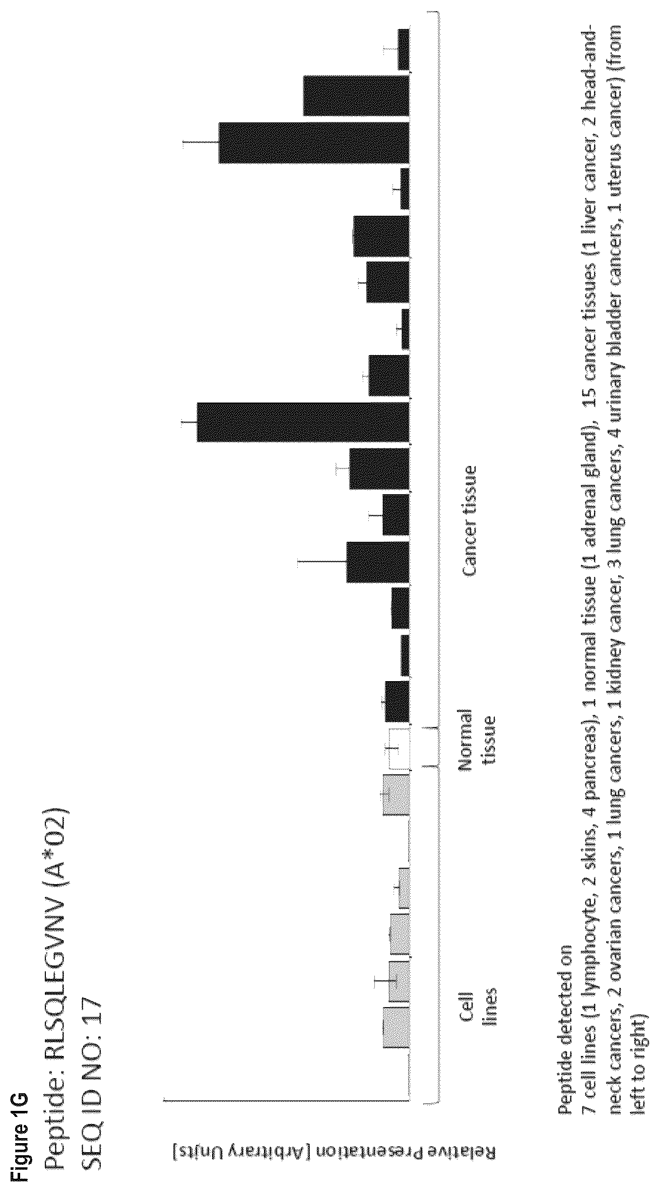 Patent US12103984 Figure 7 – Peptides, combination of peptides, and cell based medicaments for use in immunotherapy against urinary bladder cancer and other cancers