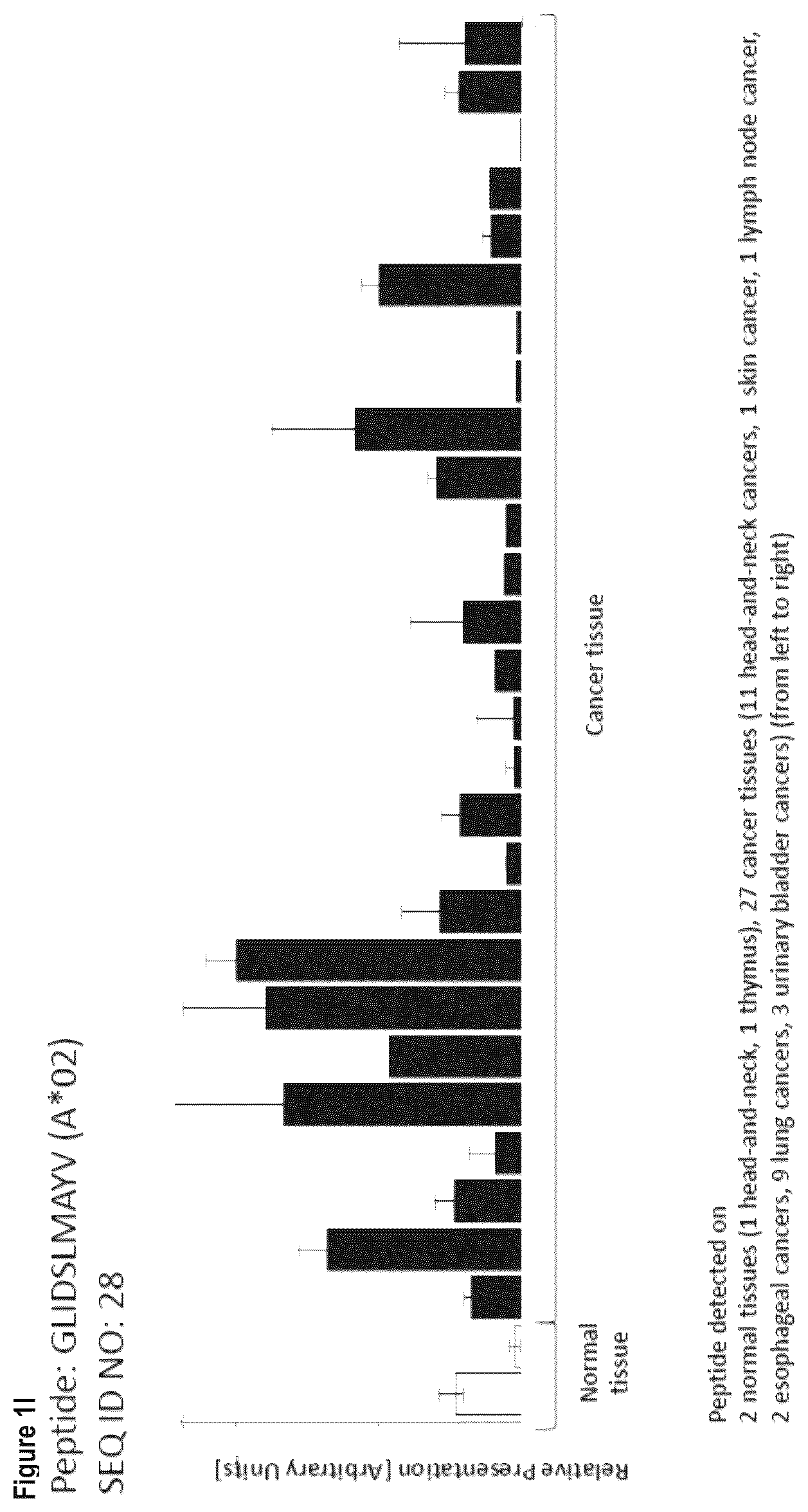Patent US12103984 Figure 9 – Peptides, combination of peptides, and cell based medicaments for use in immunotherapy against urinary bladder cancer and other cancers