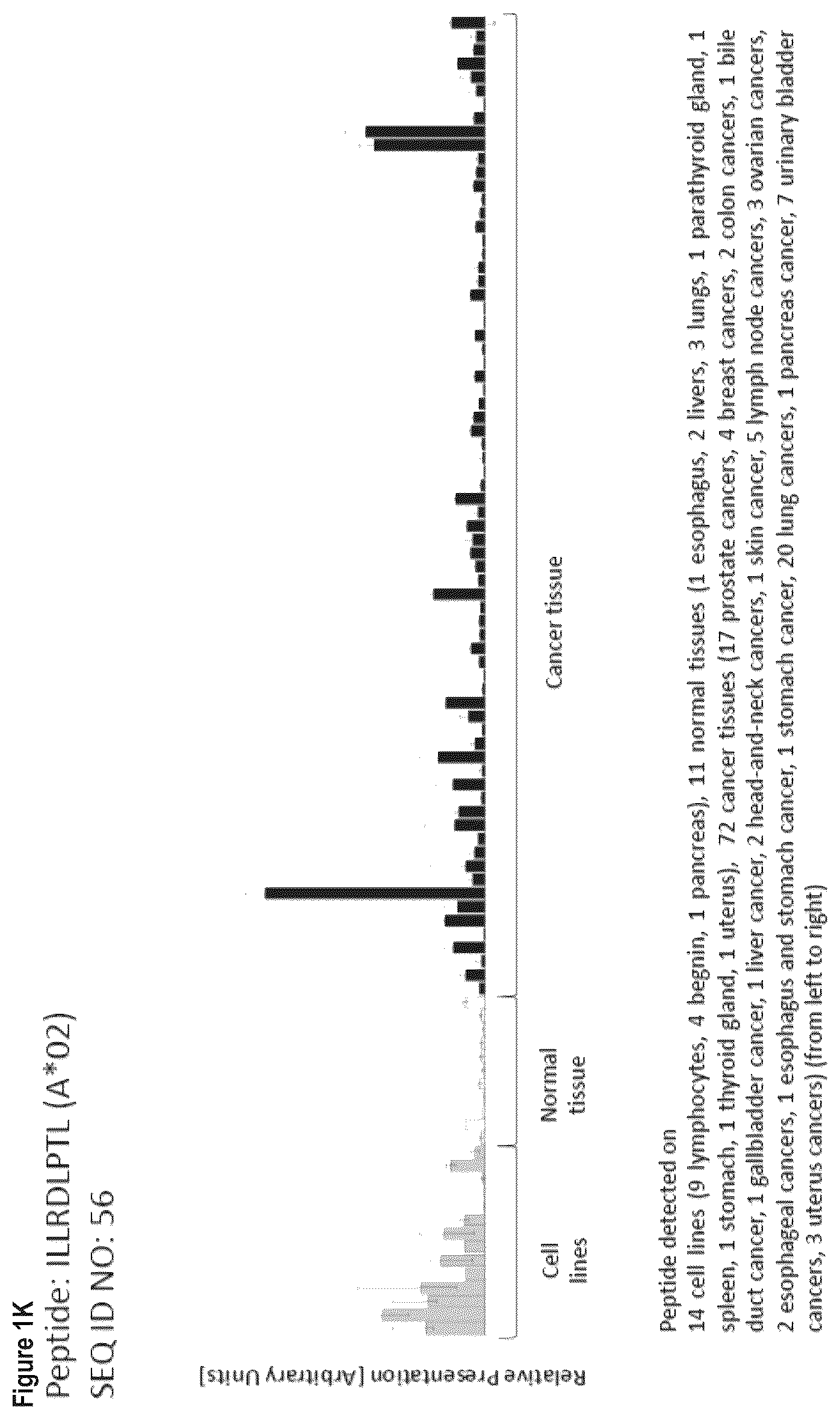 Patent US12103984 Figure 11 – Peptides, combination of peptides, and cell based medicaments for use in immunotherapy against urinary bladder cancer and other cancers