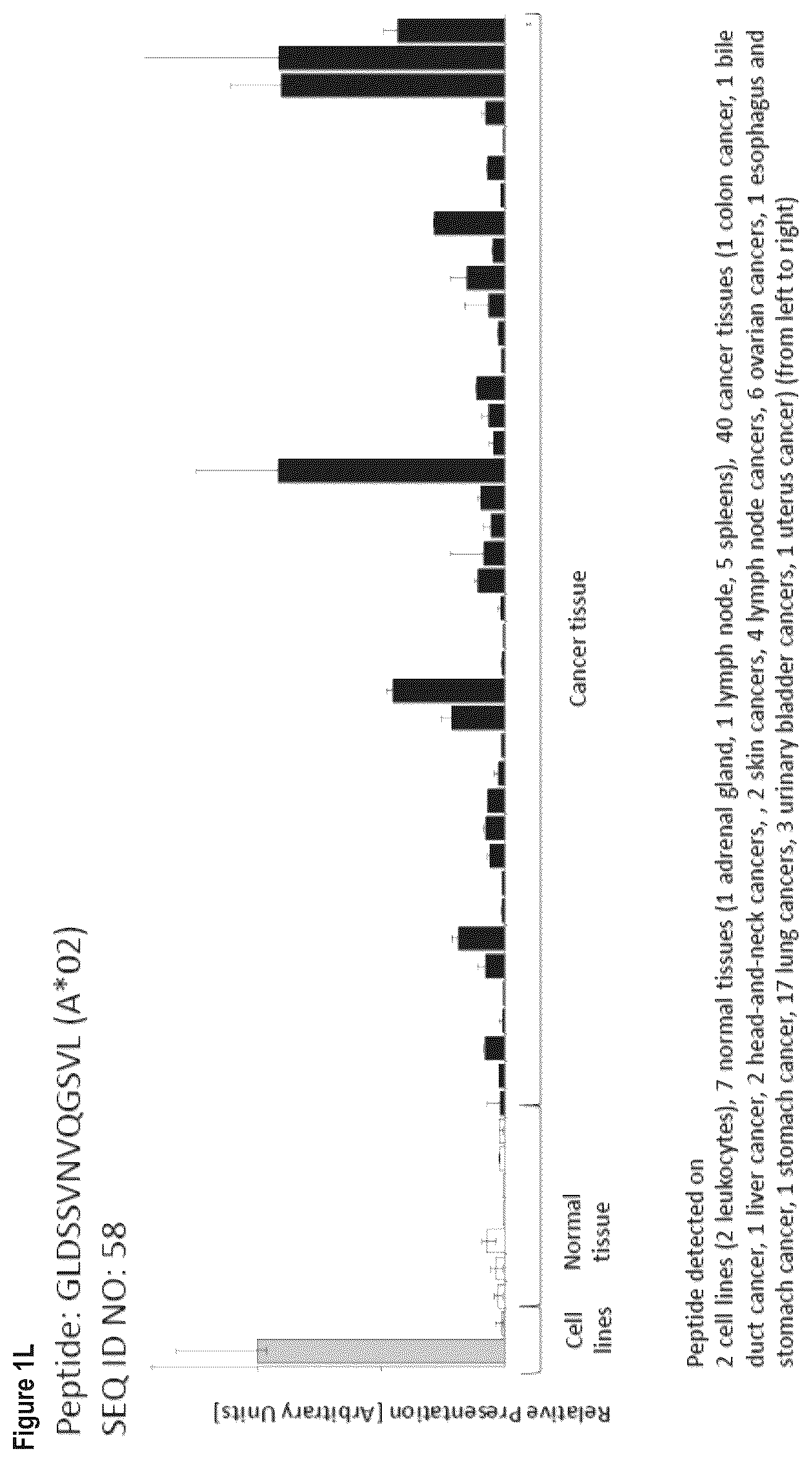 Patent US12103984 Figure 12 – Peptides, combination of peptides, and cell based medicaments for use in immunotherapy against urinary bladder cancer and other cancers
