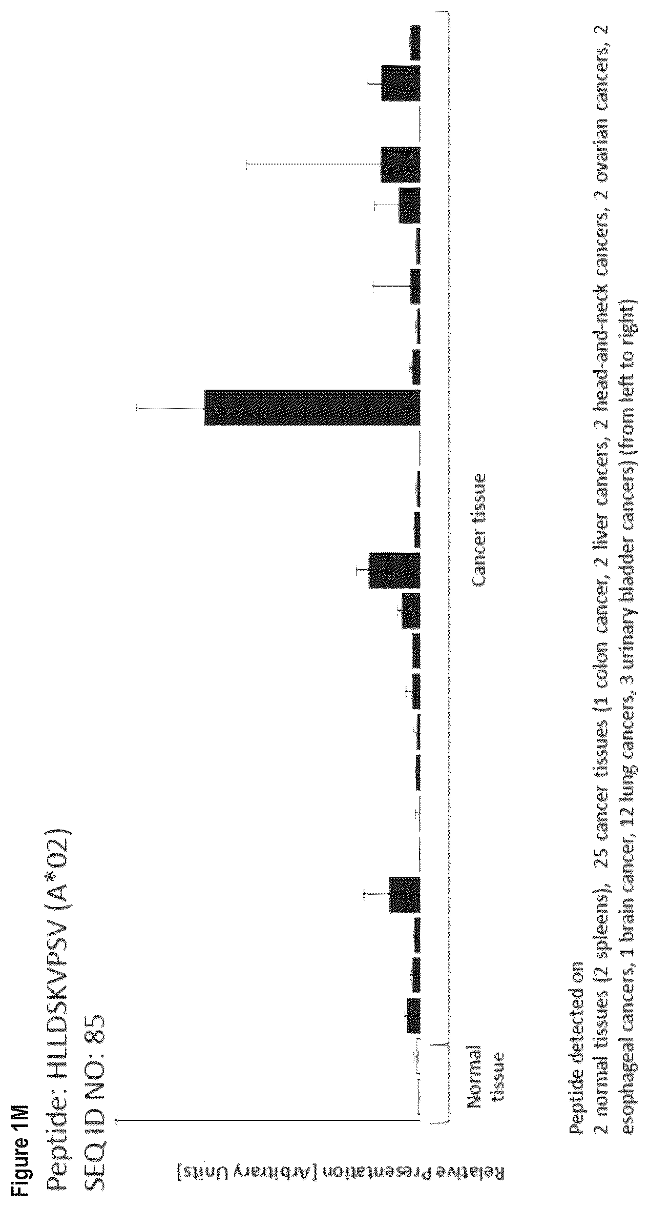 Patent US12103984 Figure 13 – Peptides, combination of peptides, and cell based medicaments for use in immunotherapy against urinary bladder cancer and other cancers