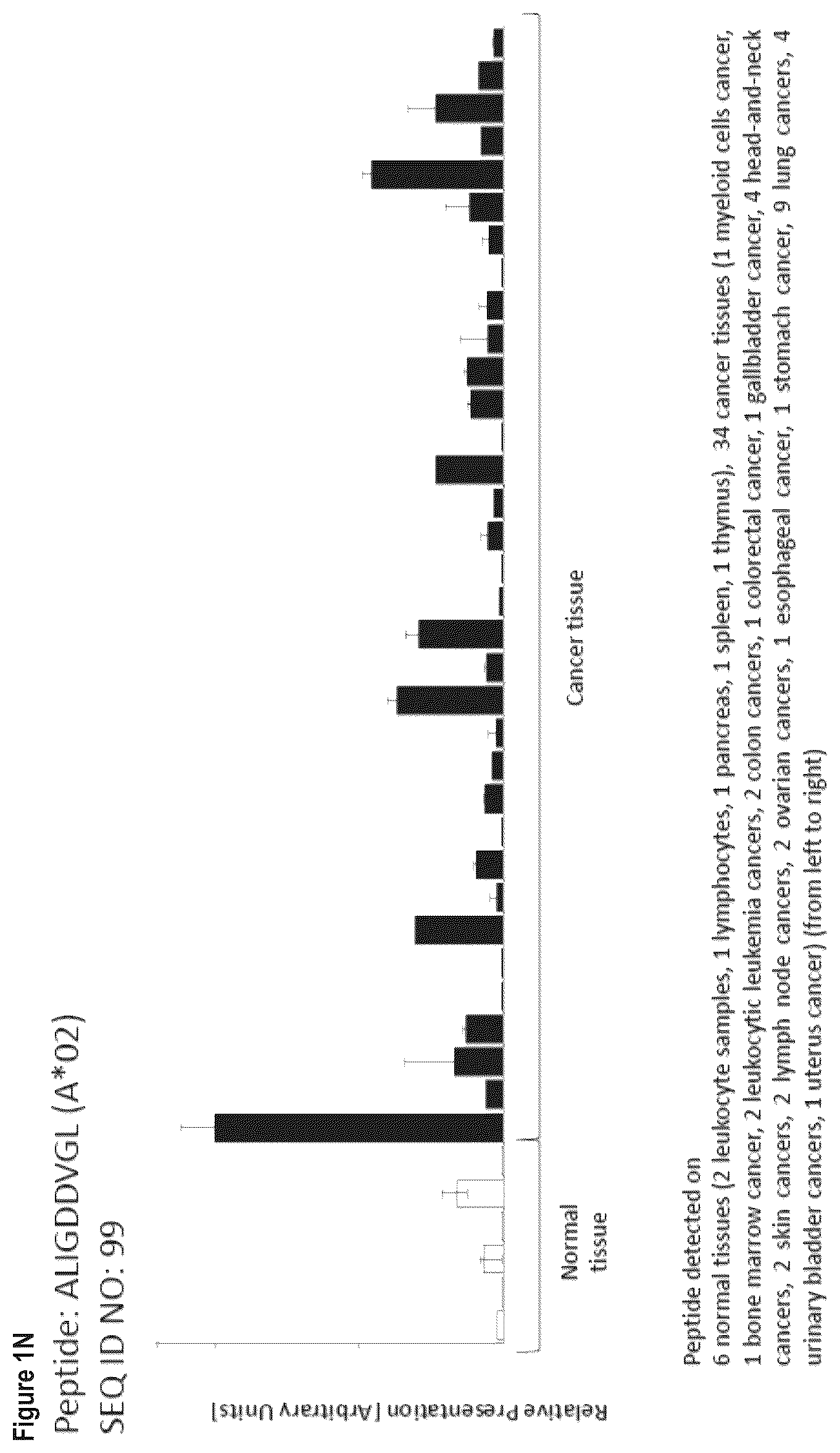 Patent US12103984 Figure 14 – Peptides, combination of peptides, and cell based medicaments for use in immunotherapy against urinary bladder cancer and other cancers
