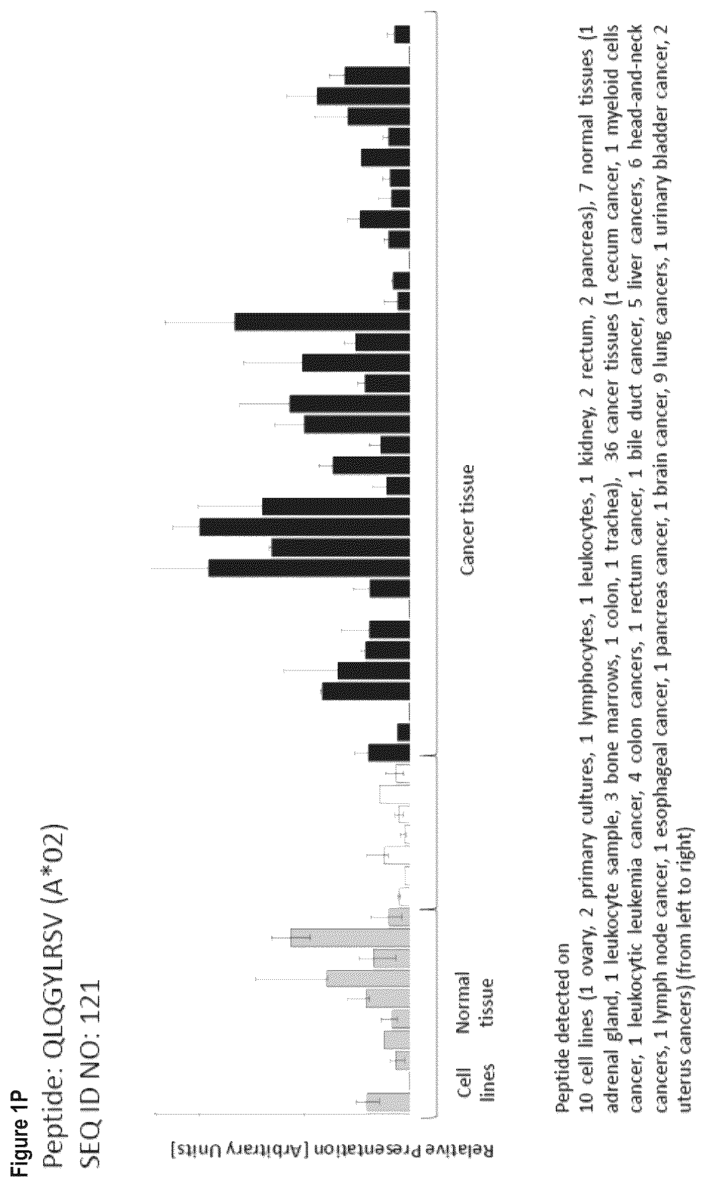 Patent US12103984 Figure 16 – Peptides, combination of peptides, and cell based medicaments for use in immunotherapy against urinary bladder cancer and other cancers