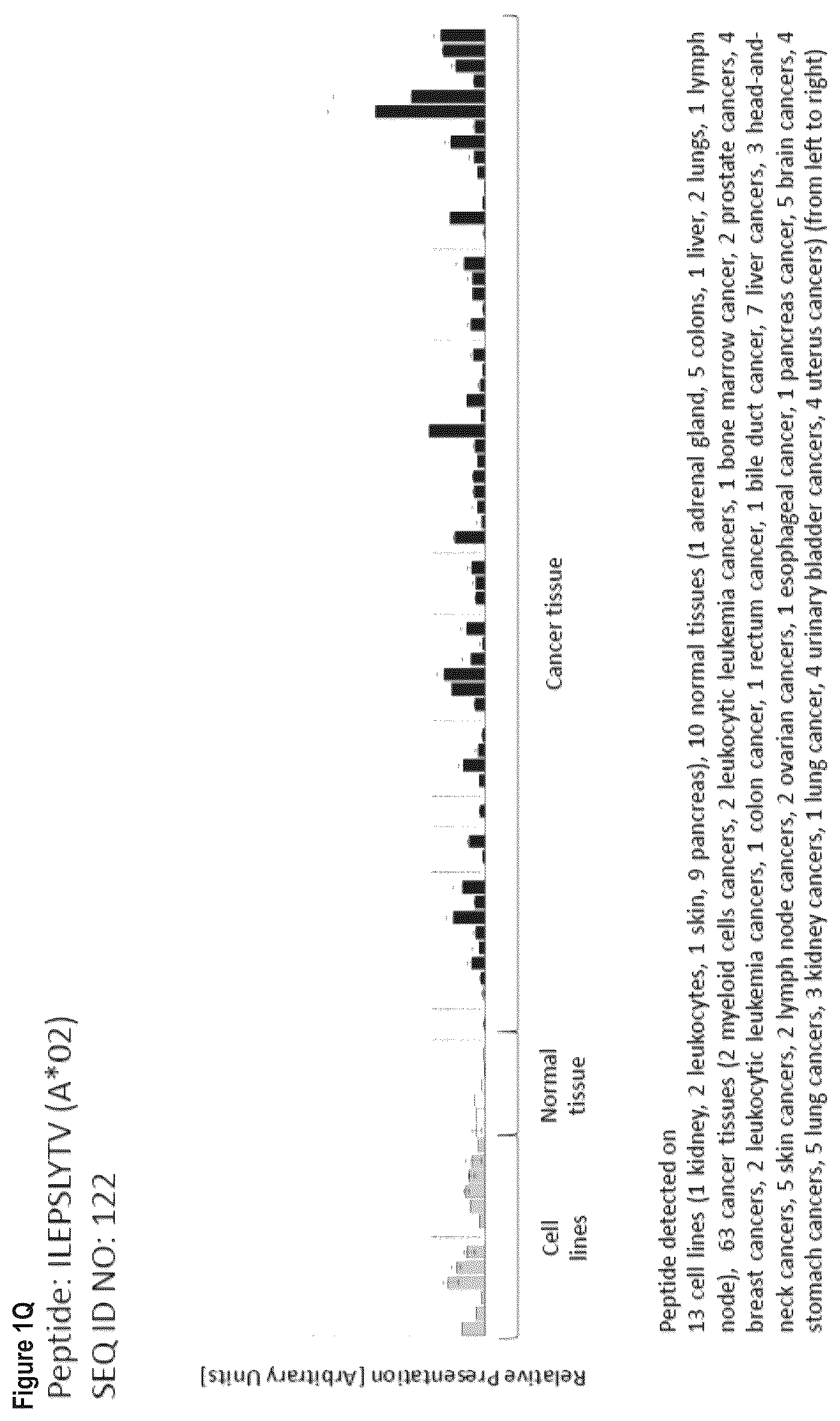 Patent US12103984 Figure 17 – Peptides, combination of peptides, and cell based medicaments for use in immunotherapy against urinary bladder cancer and other cancers