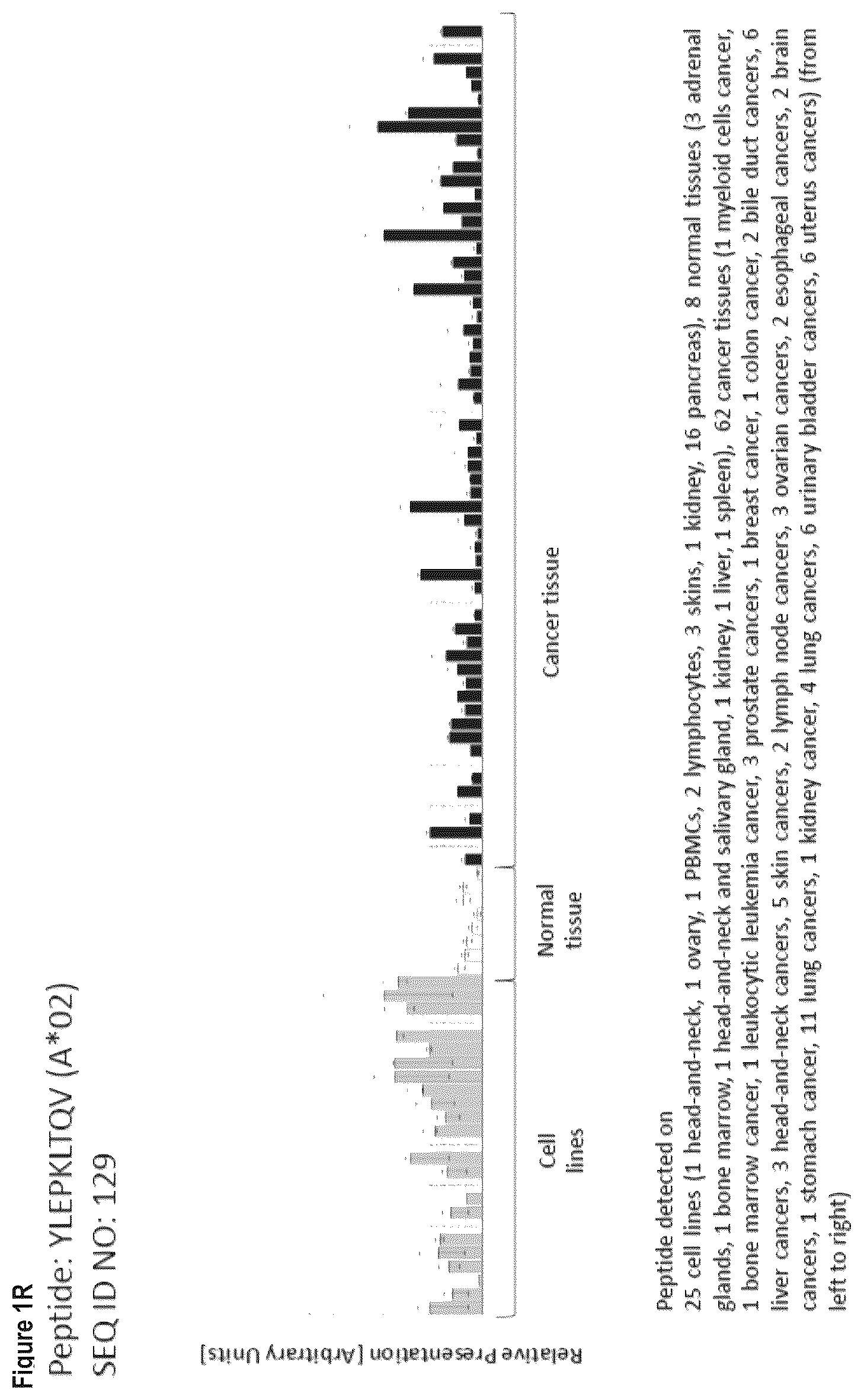Patent US12103984 Figure 18 – Peptides, combination of peptides, and cell based medicaments for use in immunotherapy against urinary bladder cancer and other cancers