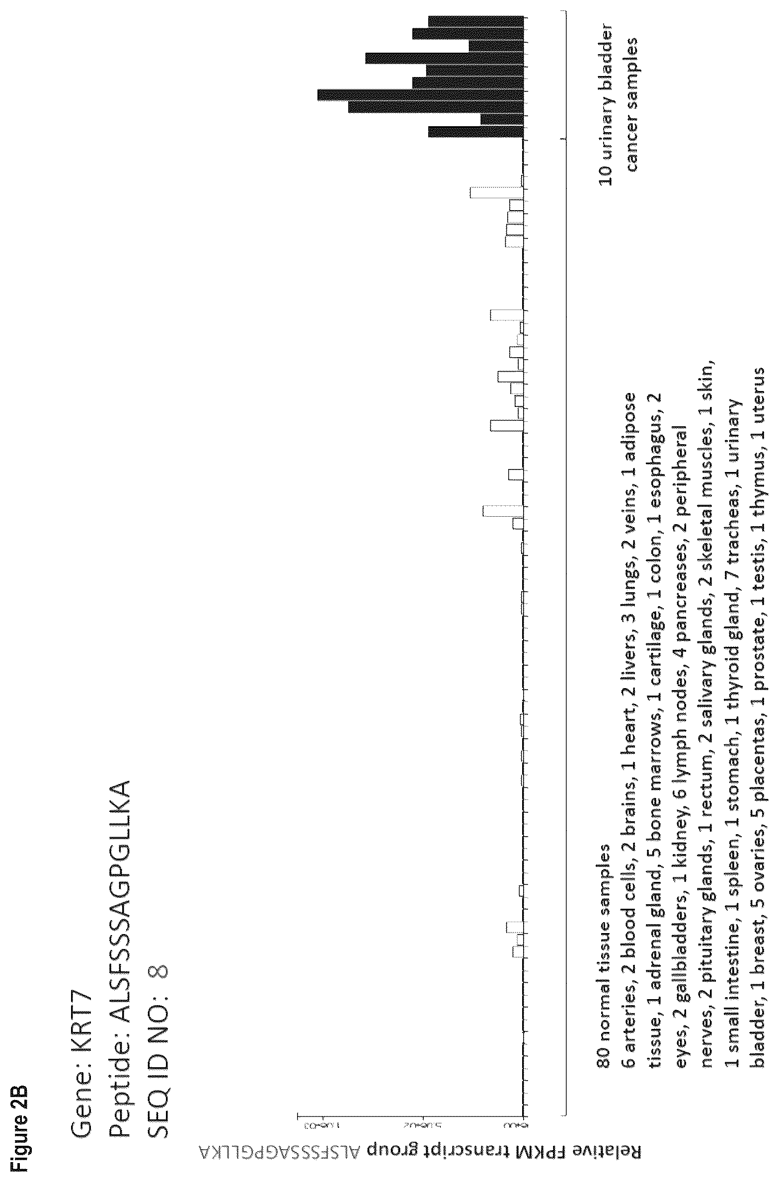 Patent US12103984 Figure 20 – Peptides, combination of peptides, and cell based medicaments for use in immunotherapy against urinary bladder cancer and other cancers