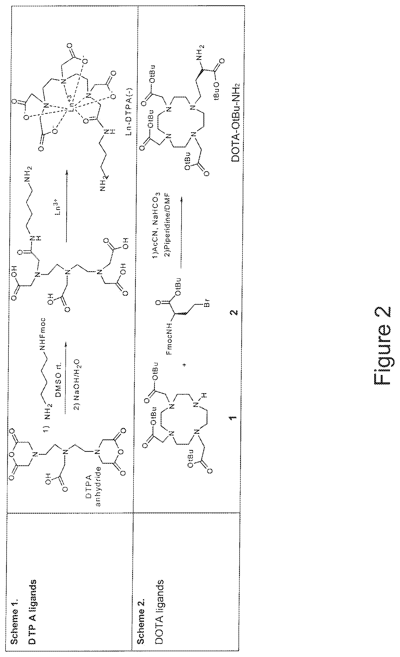Patent US12103996 Figure 2 – Polymer backbone element tags