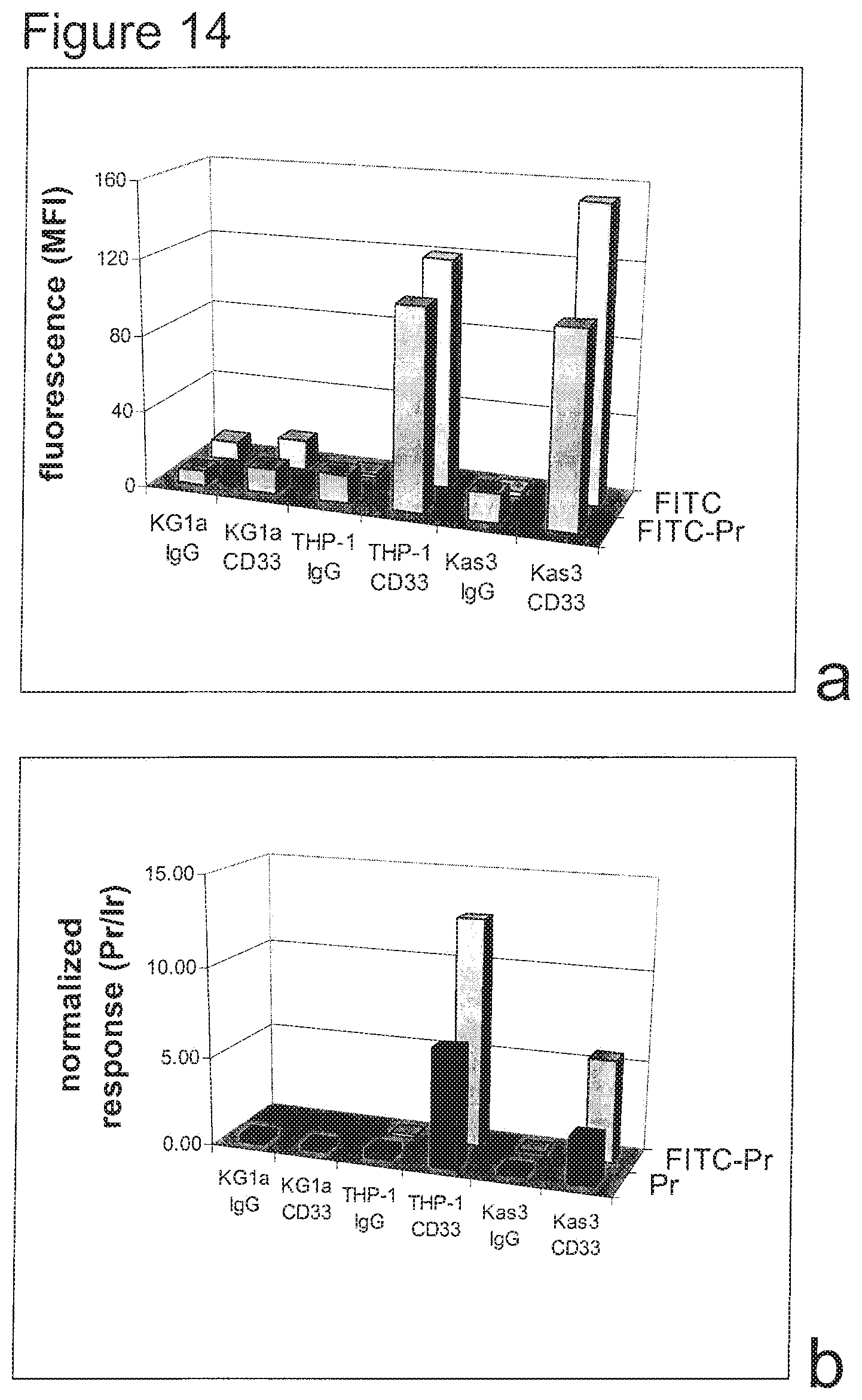Patent US12103996 Figure 14 – Polymer backbone element tags