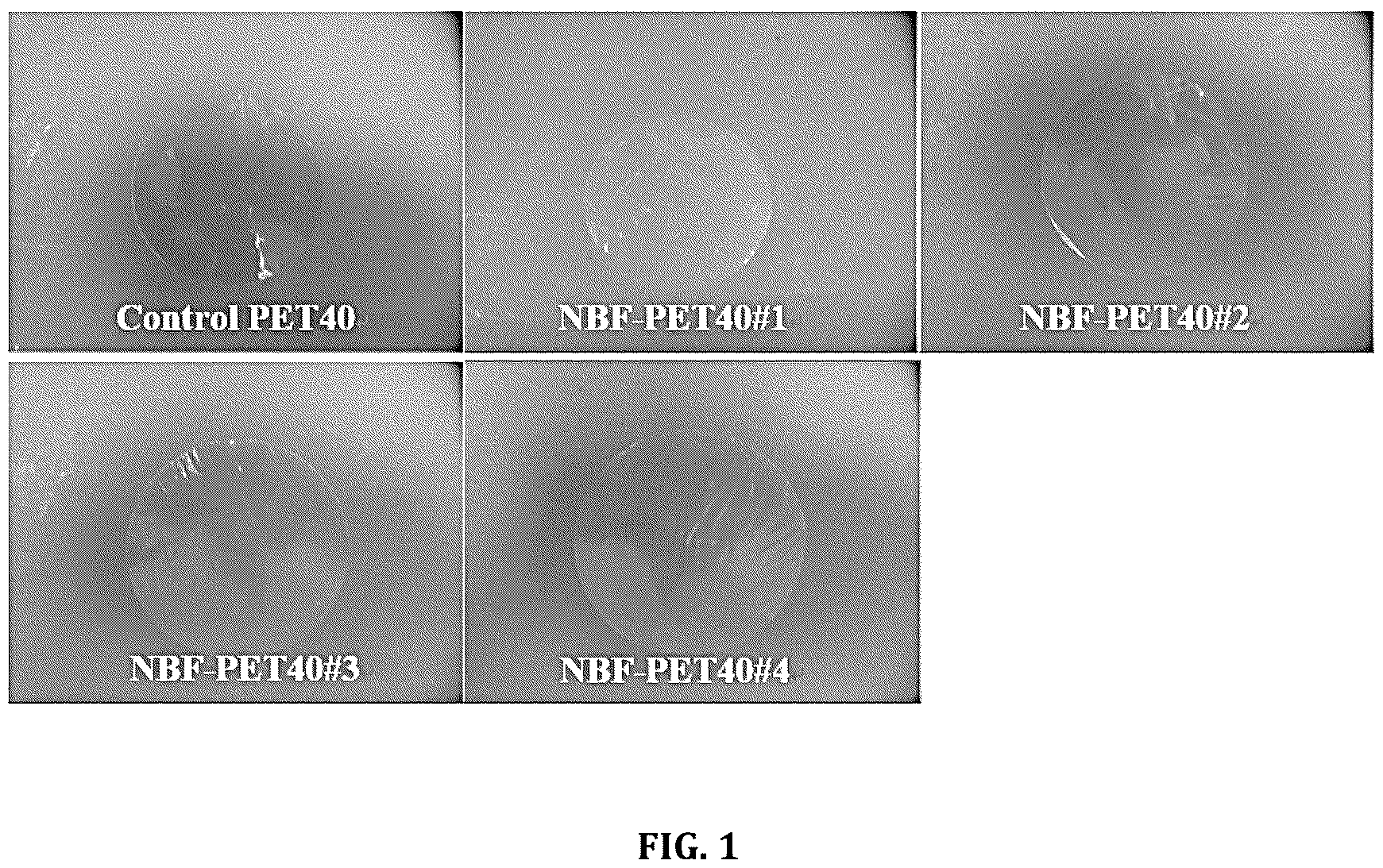 Patent US12104027 Figure 1 – Non-porous, breathable and waterproof transparent plastic film and method for manufacturing the same