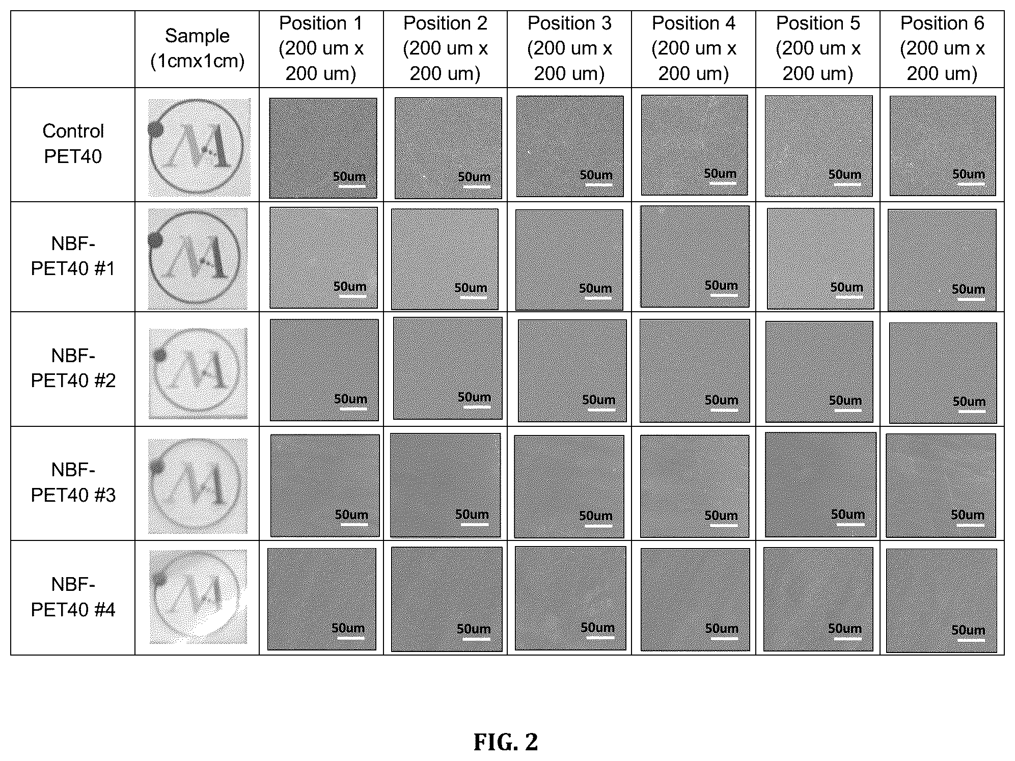 Patent US12104027 Figure 2 – Non-porous, breathable and waterproof transparent plastic film and method for manufacturing the same