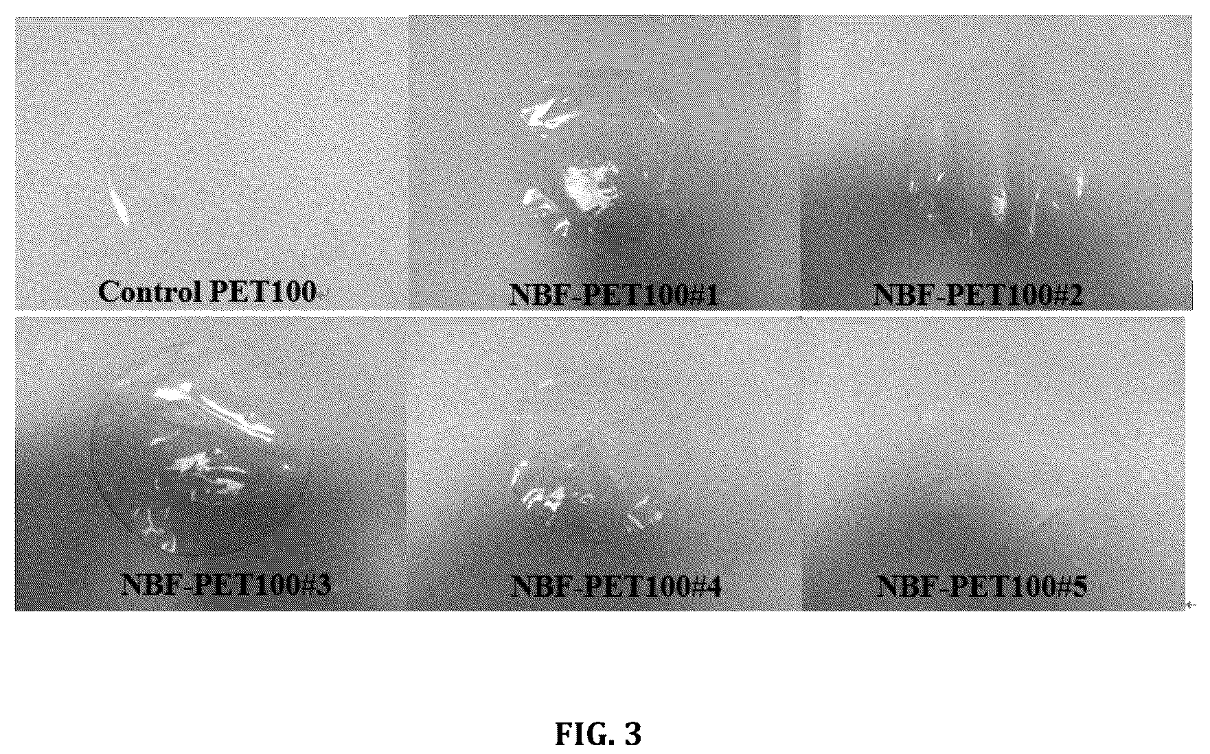 Patent US12104027 Figure 3 – Non-porous, breathable and waterproof transparent plastic film and method for manufacturing the same