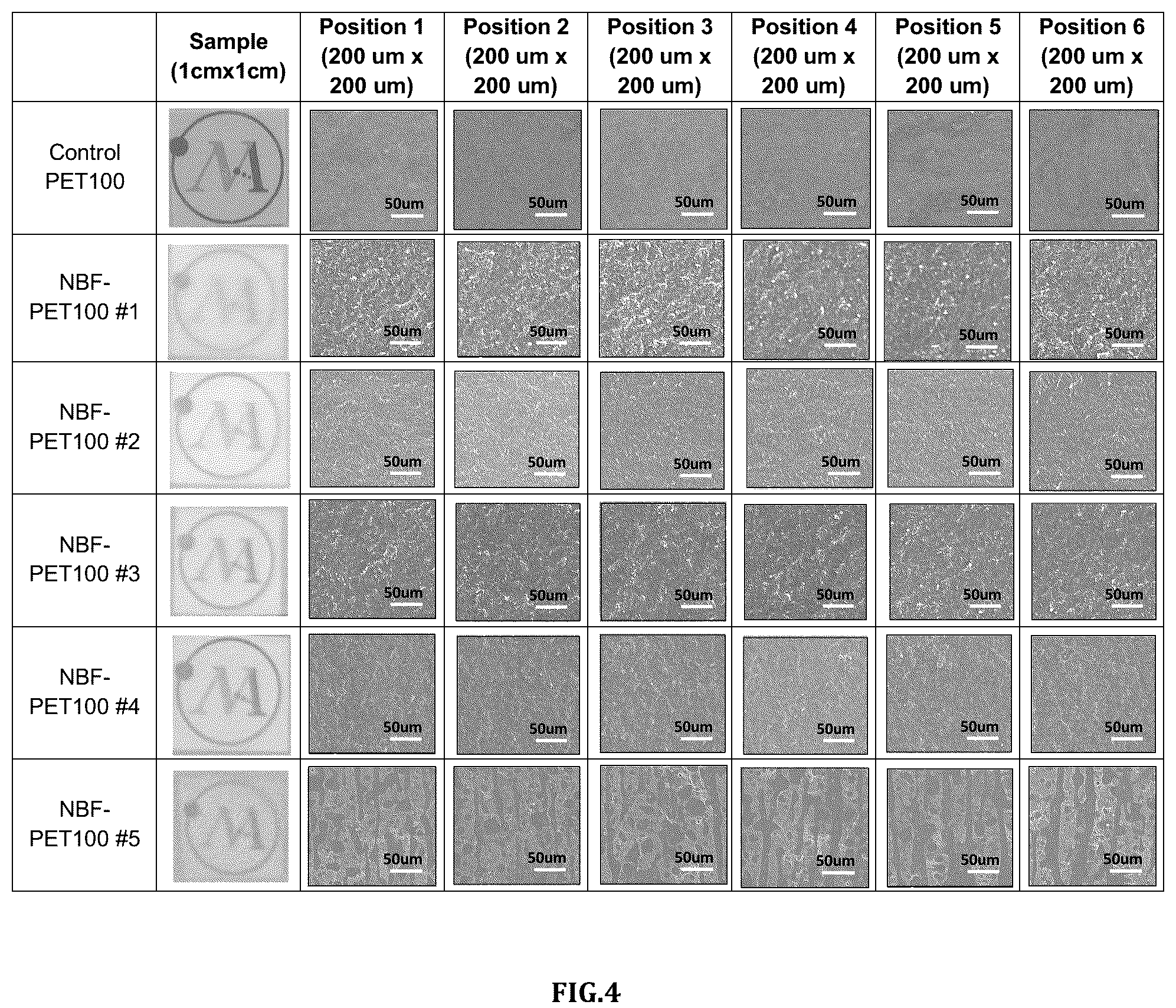 Patent US12104027 Figure 4 – Non-porous, breathable and waterproof transparent plastic film and method for manufacturing the same