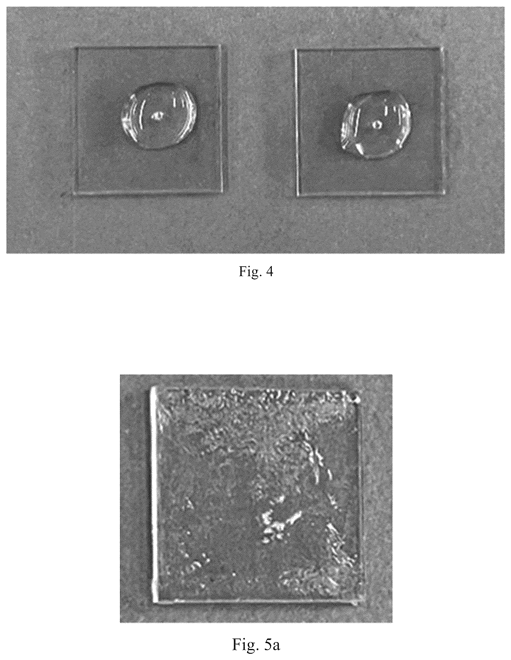 Patent US12104028 Figure 4 – Ionic gel film preparation method, chemical sensor and preparation method thereof