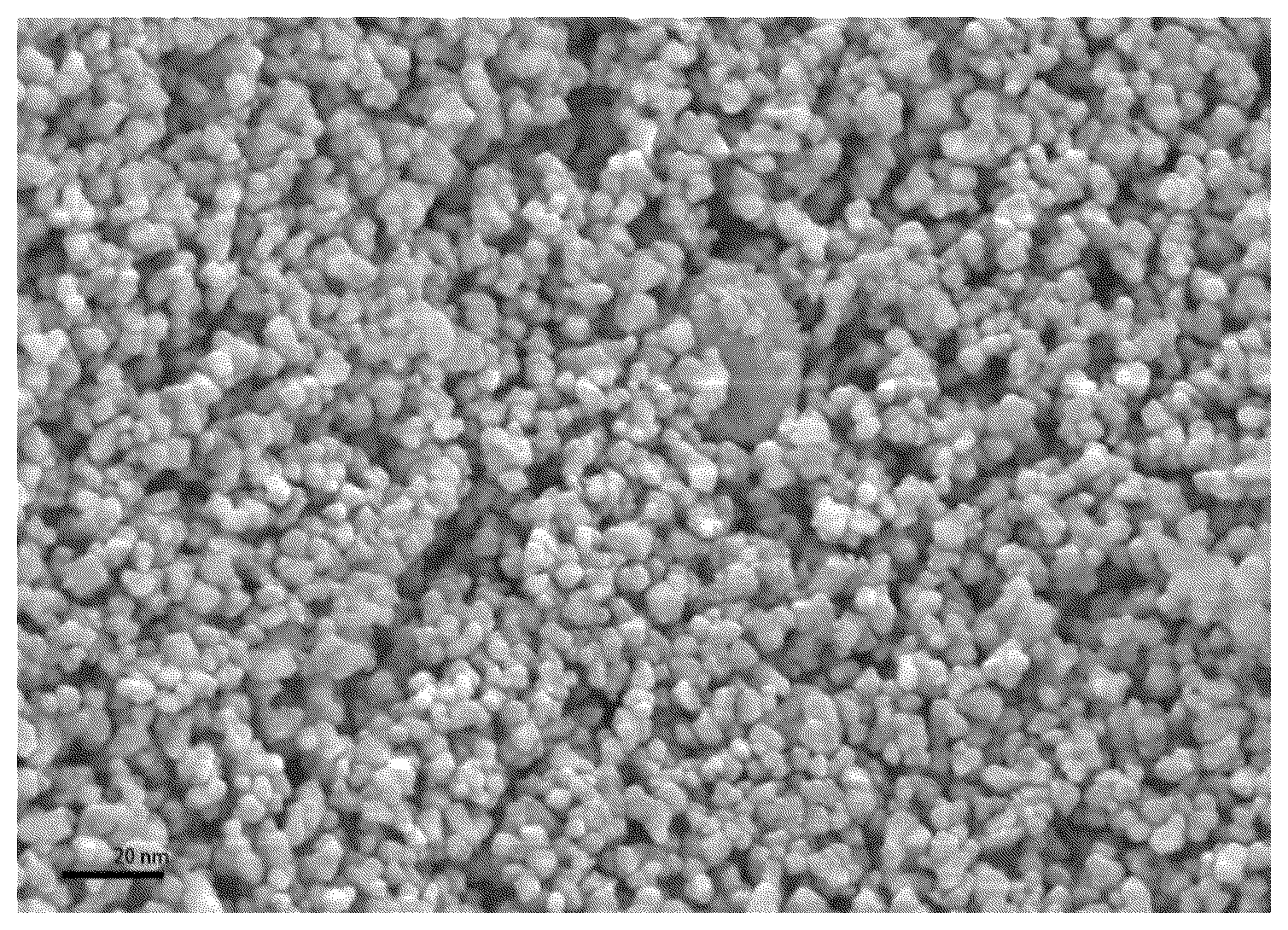 Patent US12104031 Figure 1 – Methods of modifying surface of film with inverse miniemulsion