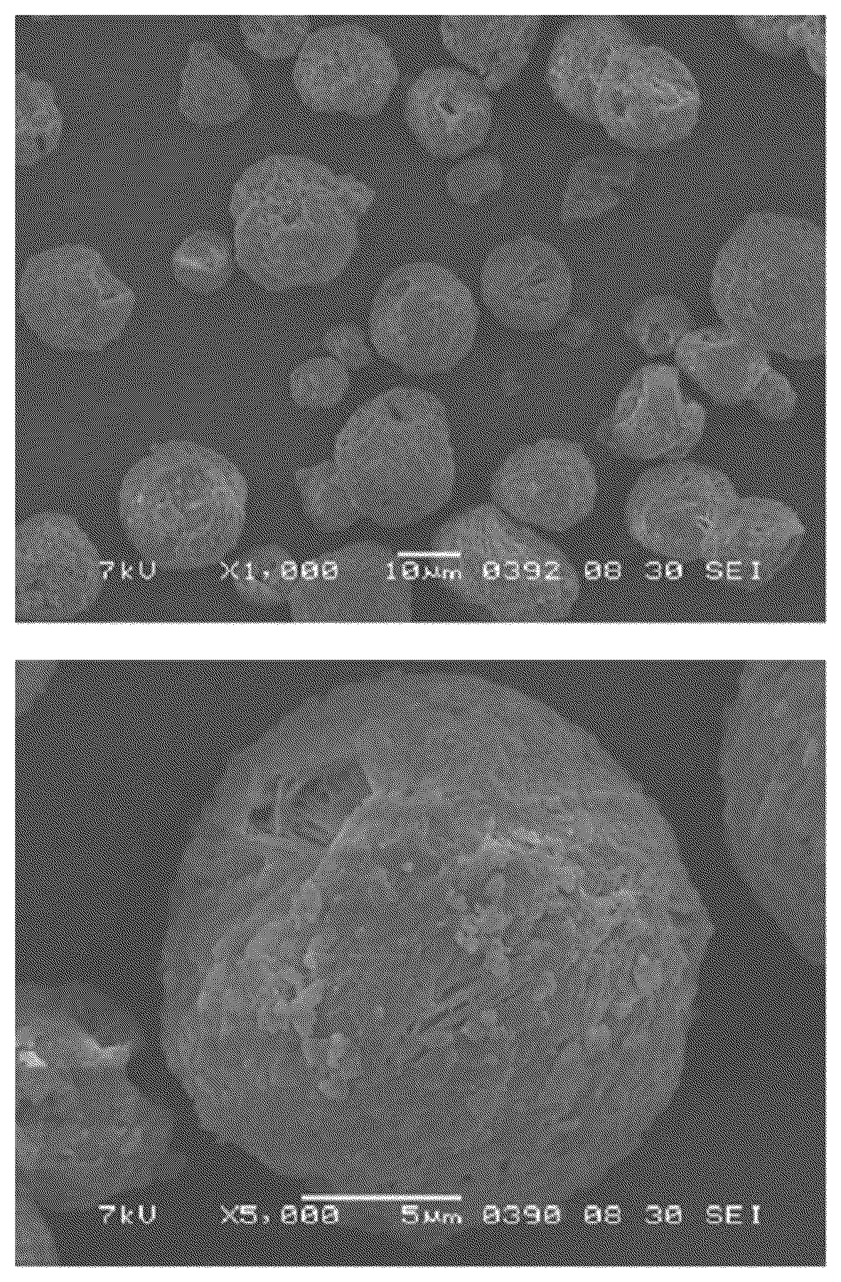 Patent US12104041 Figure 1 – Biodegradable resin particles and external preparation including the same