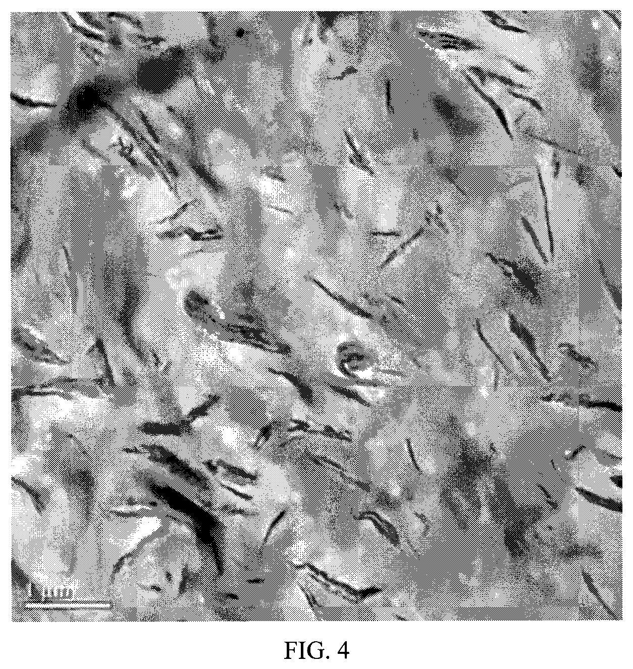 Patent US12104048 Figure 3 – Reinforced polyolefin composite