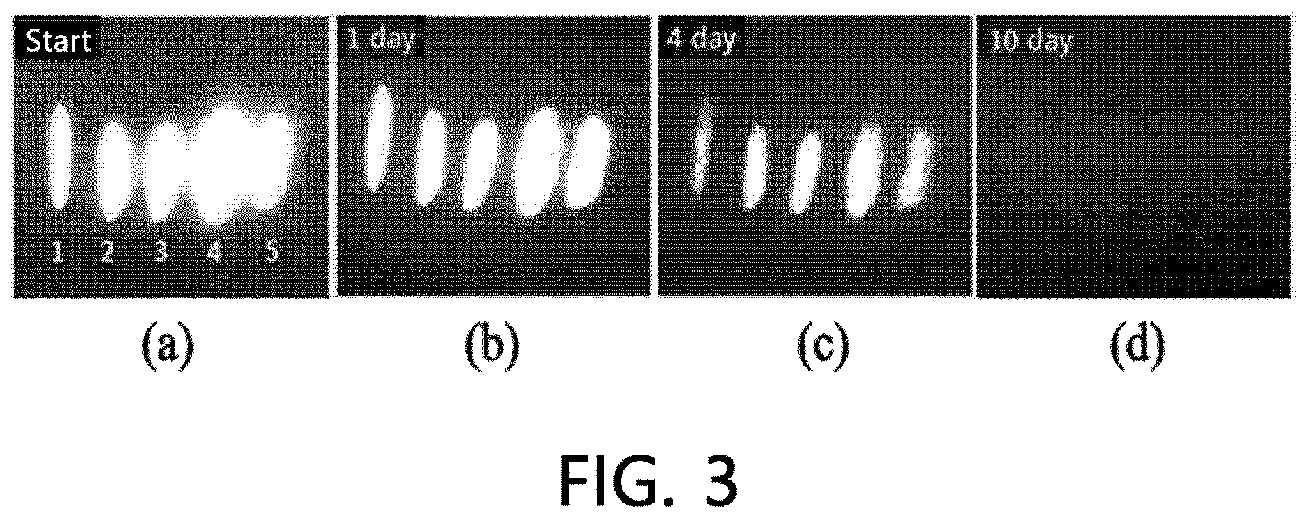 Patent US12104069 Figure 3 – Epidermal penetration type ink composition