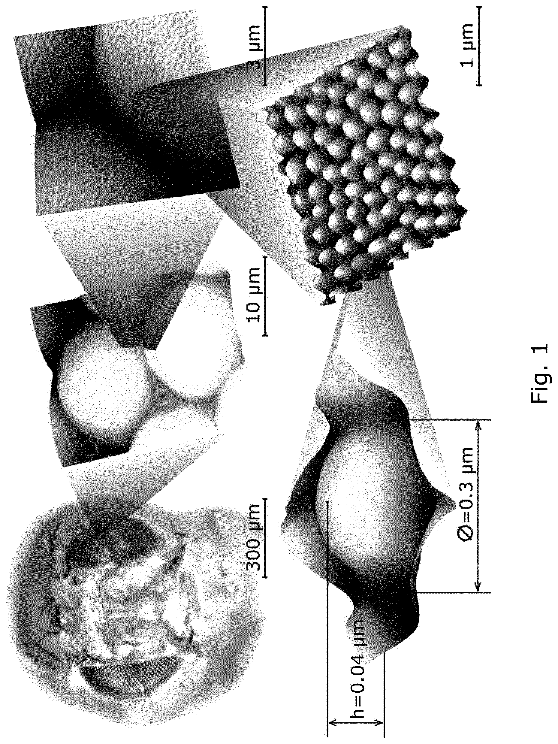 Patent US12104078 Figure 1 – Insect corneal type nanocoatings