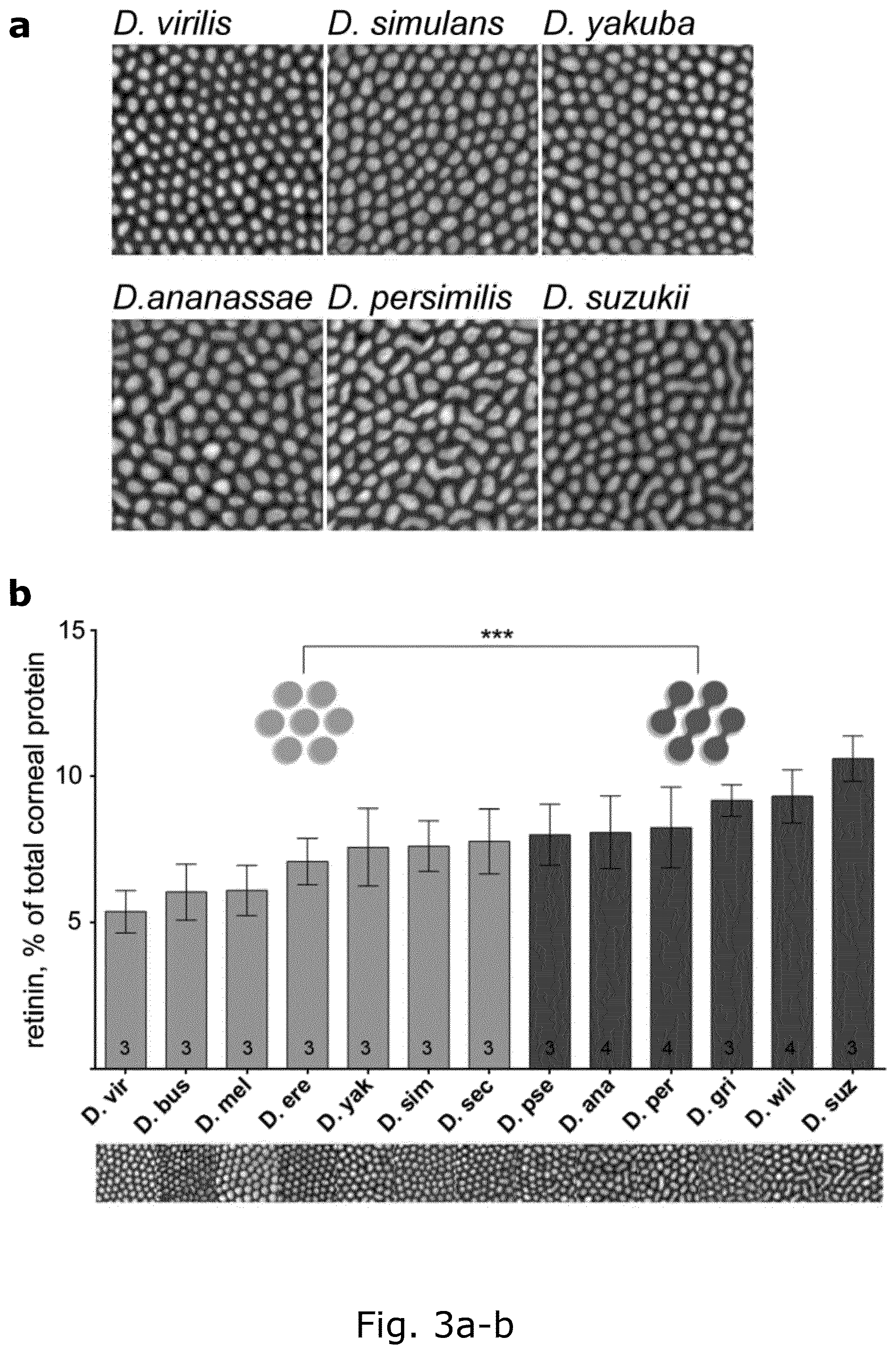 Patent US12104078 Figure 4 – Insect corneal type nanocoatings