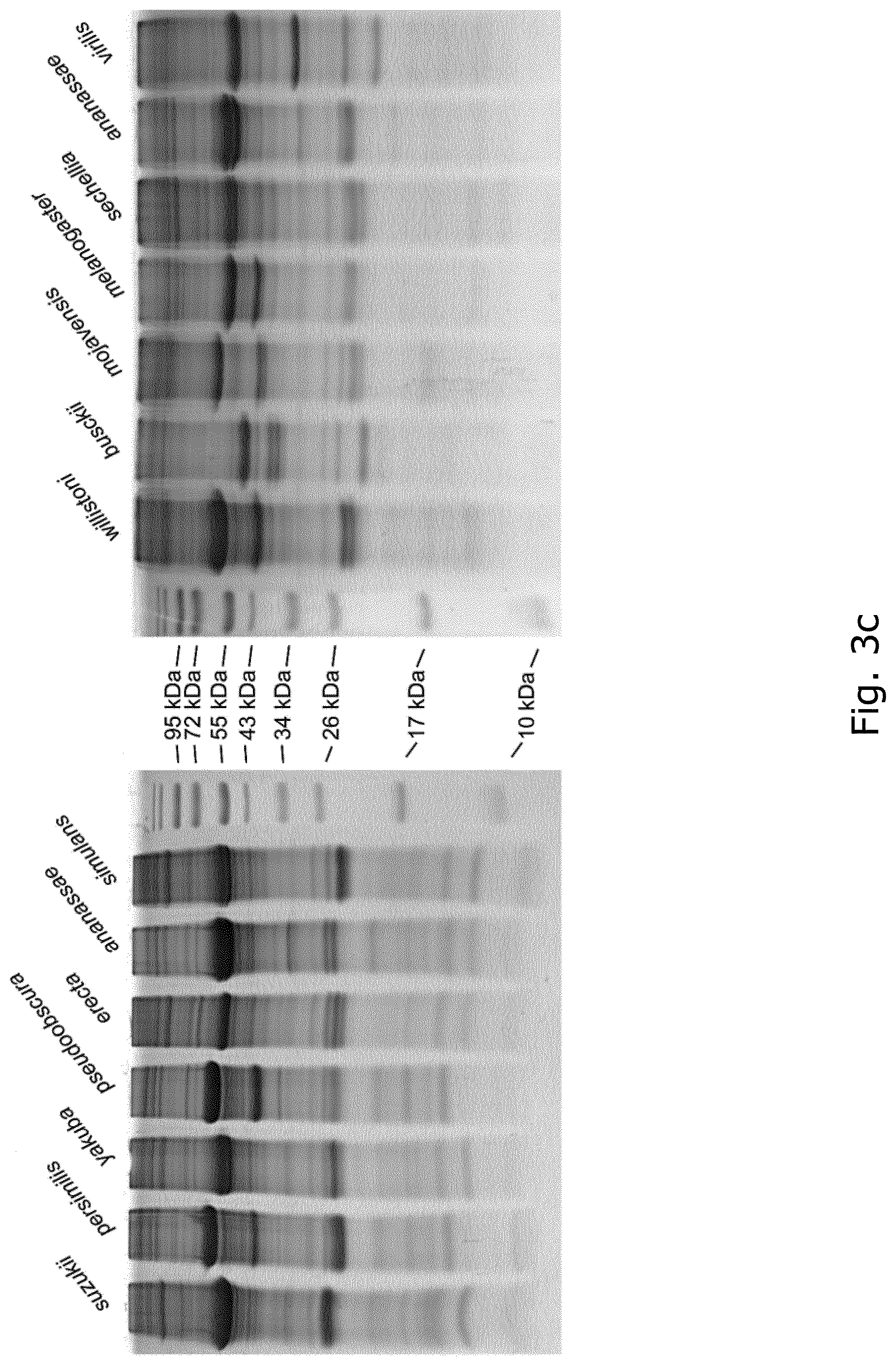 Patent US12104078 Figure 5 – Insect corneal type nanocoatings