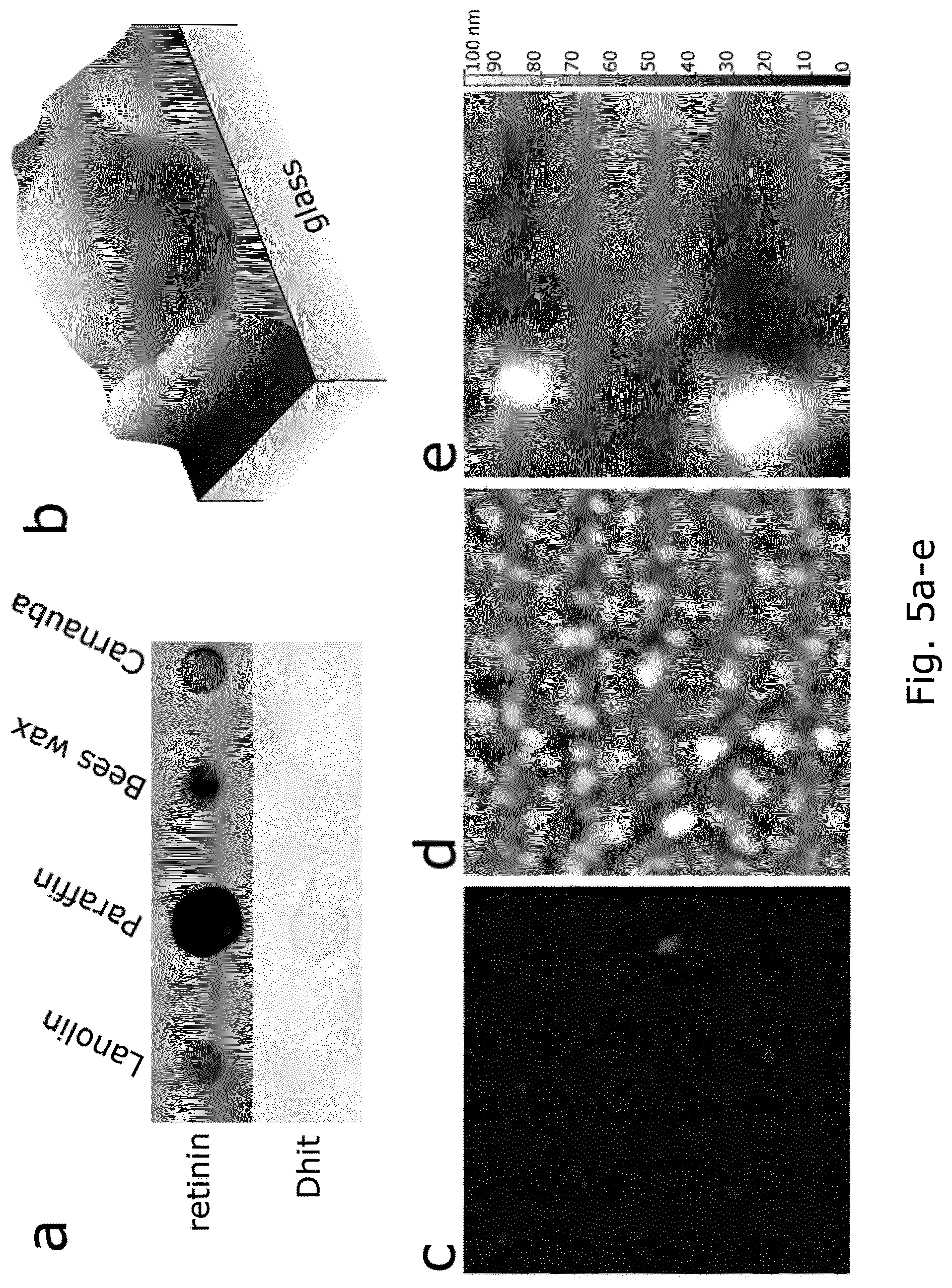 Patent US12104078 Figure 8 – Insect corneal type nanocoatings